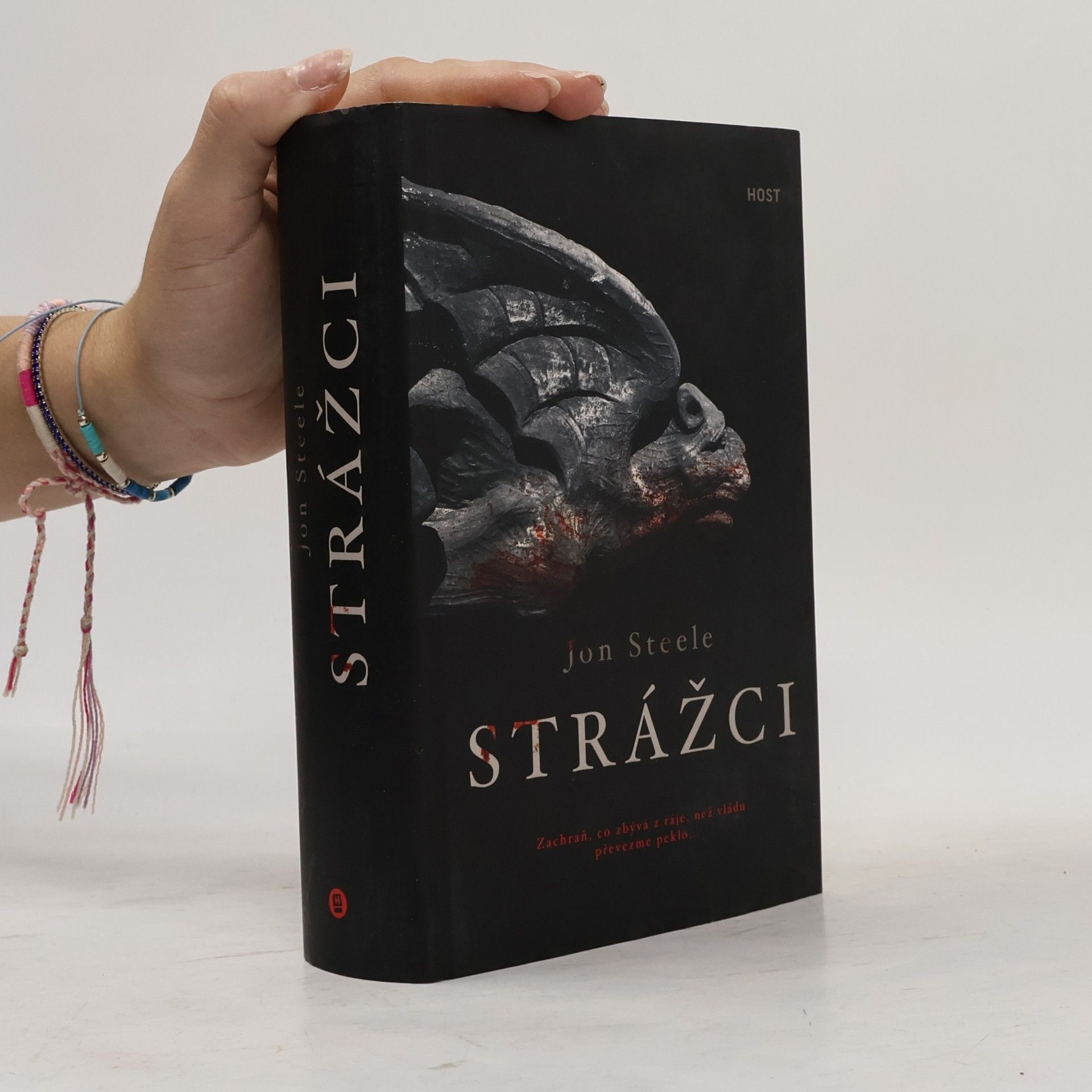 Jon Steele Strážci