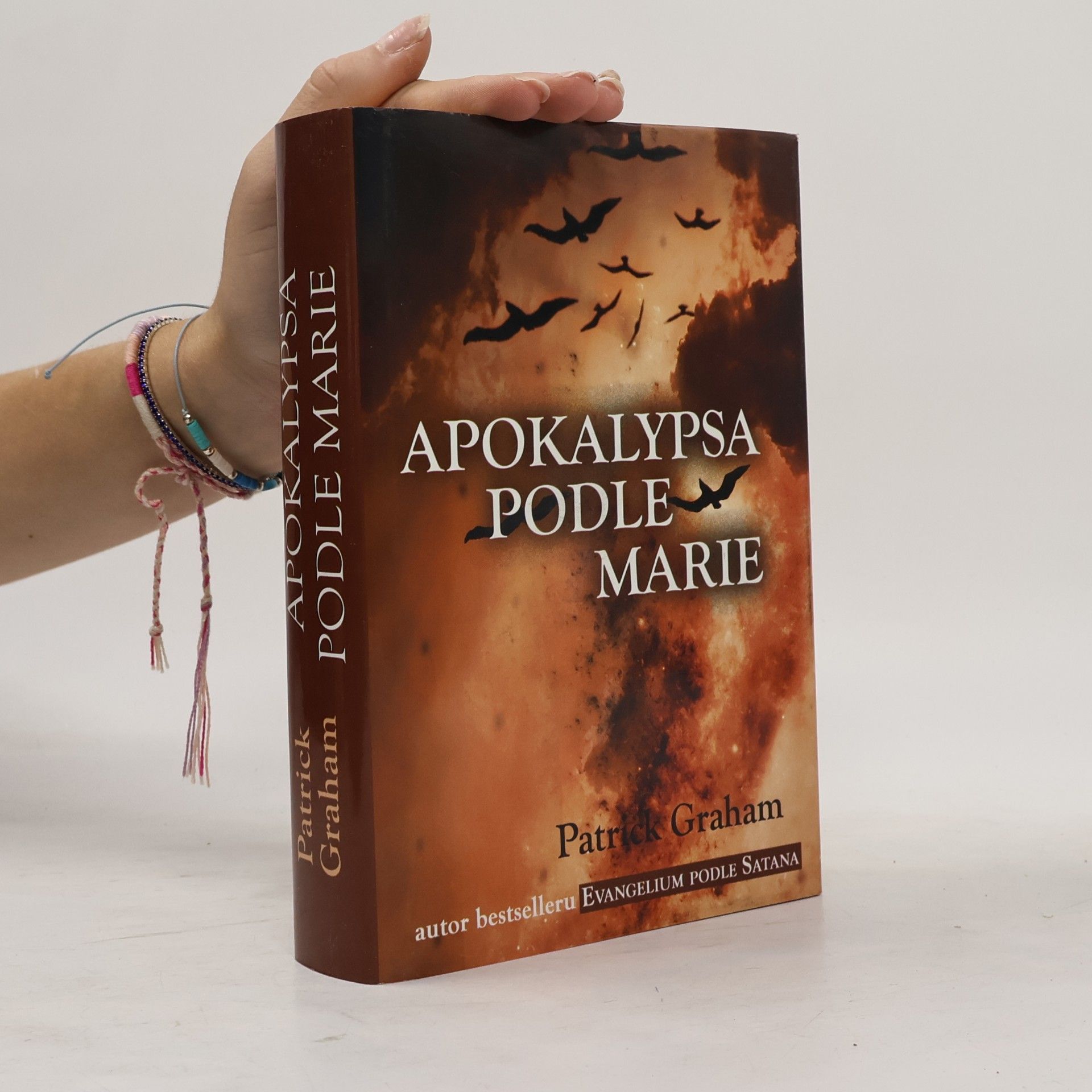 Patrick Graham Apokalypsa podle Marie