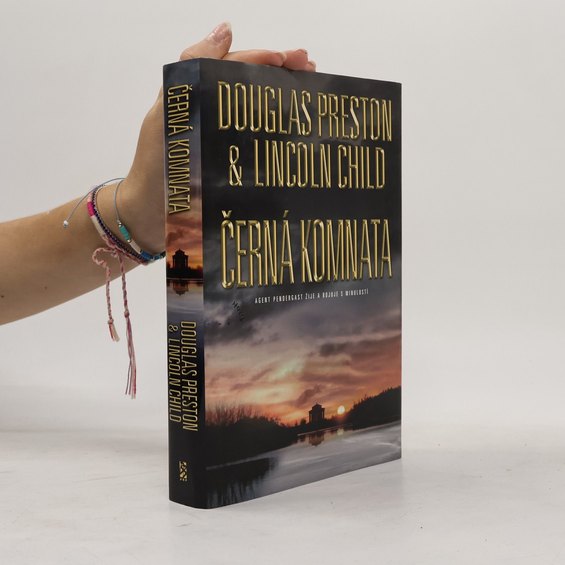 Douglas Preston Černá komnata