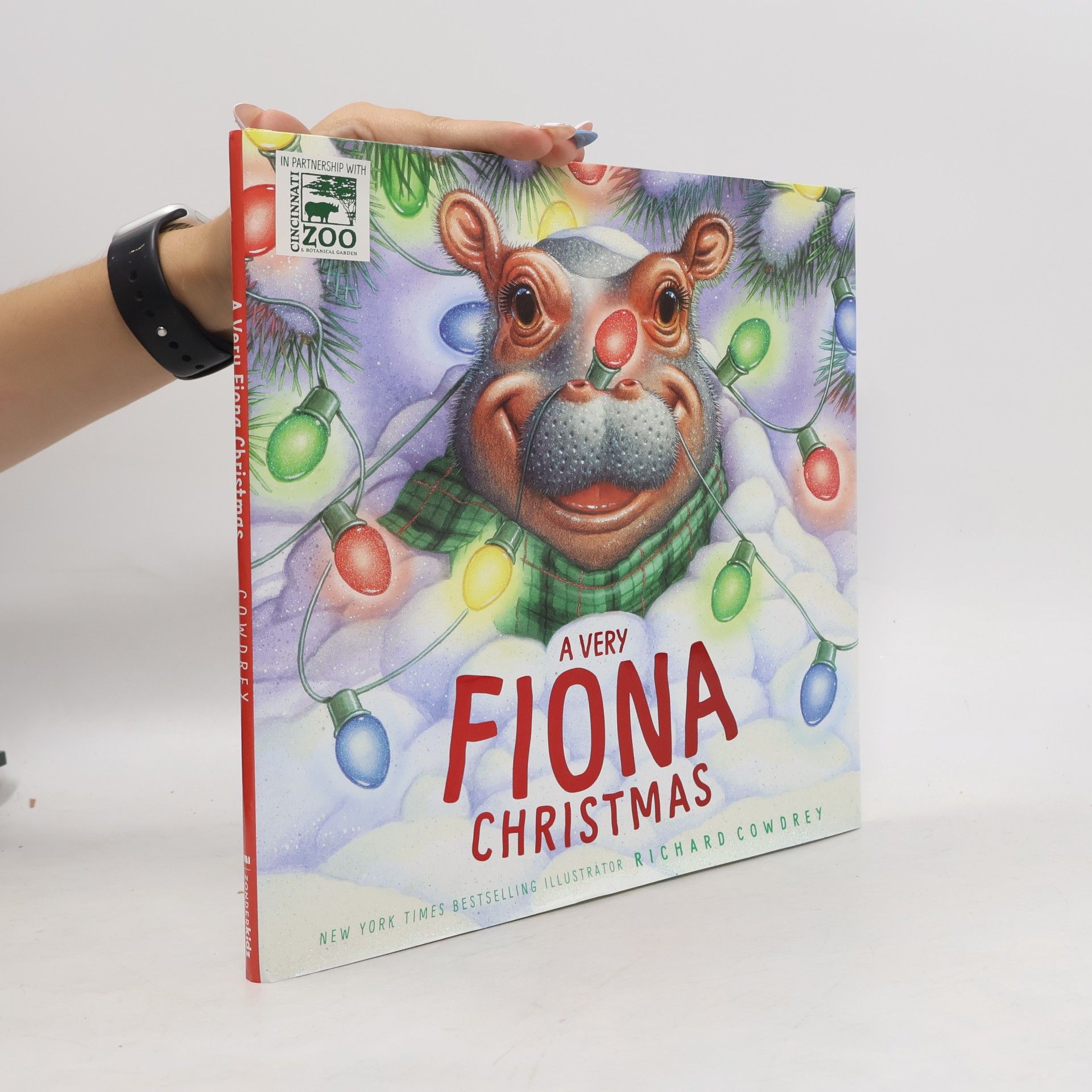 Mary Hassinger A Very Fiona Christmas