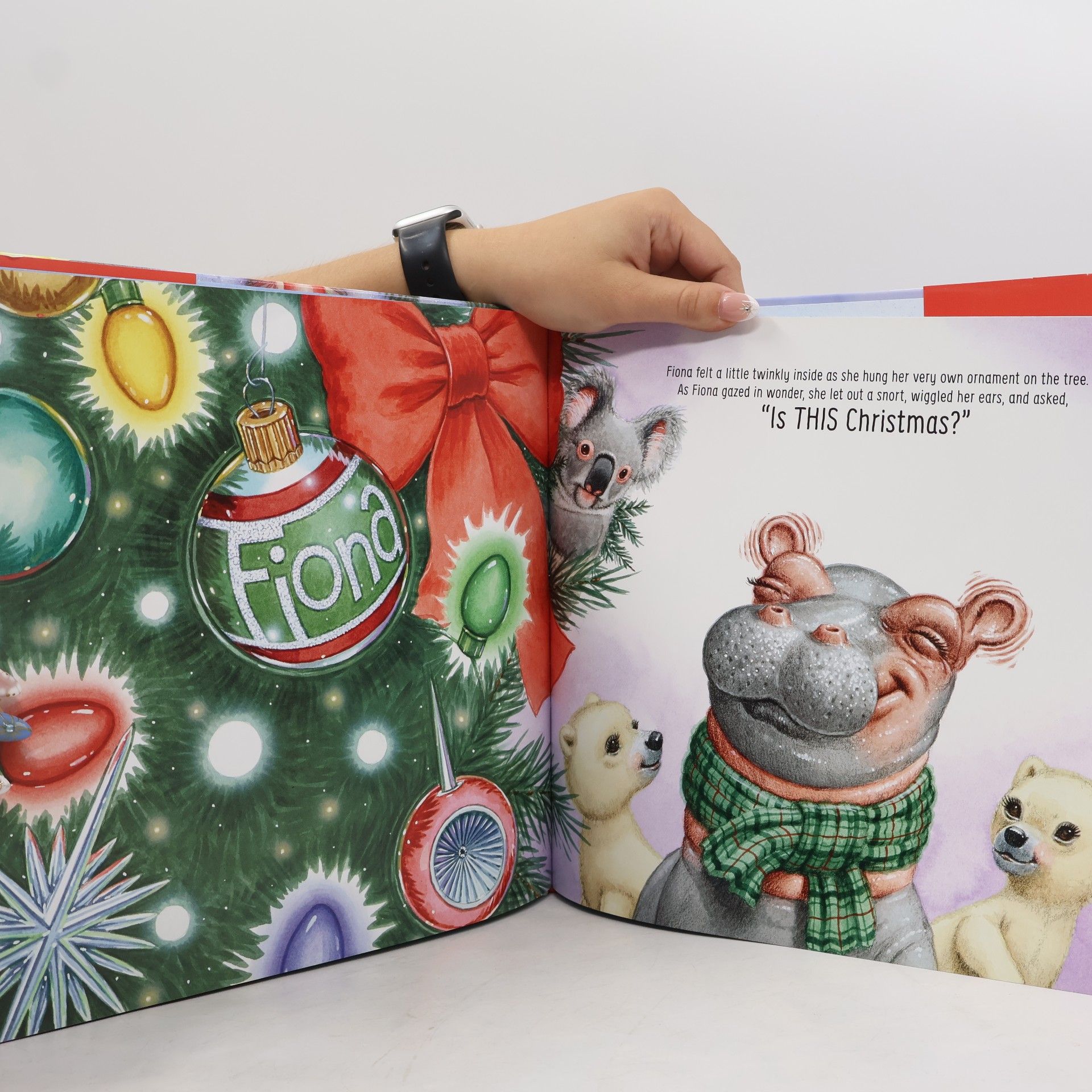 Richard Cowdrey A Very Fiona Christmas