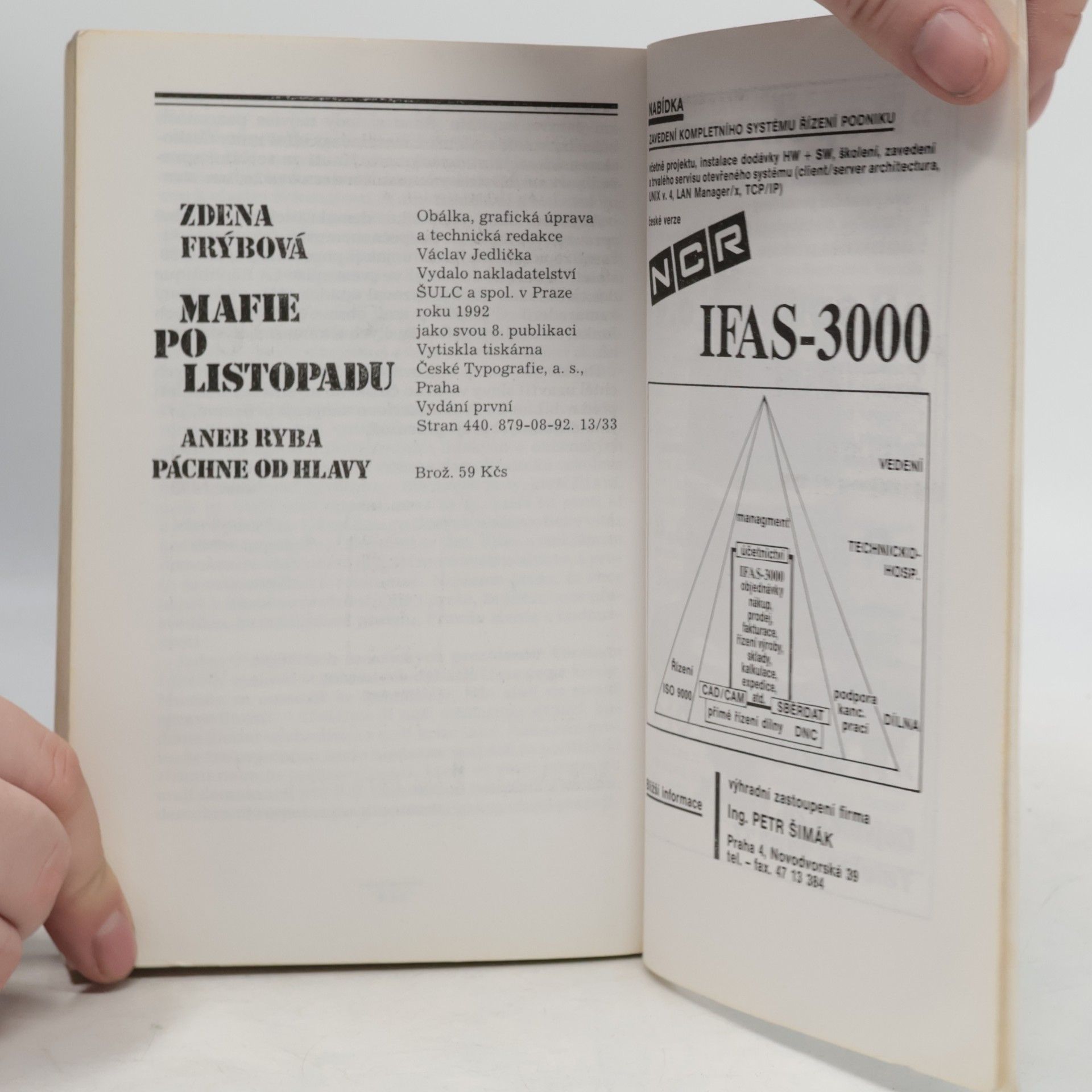 Zdena Frýbová Mafie po listopadu aneb Ryba páchne od hlavy