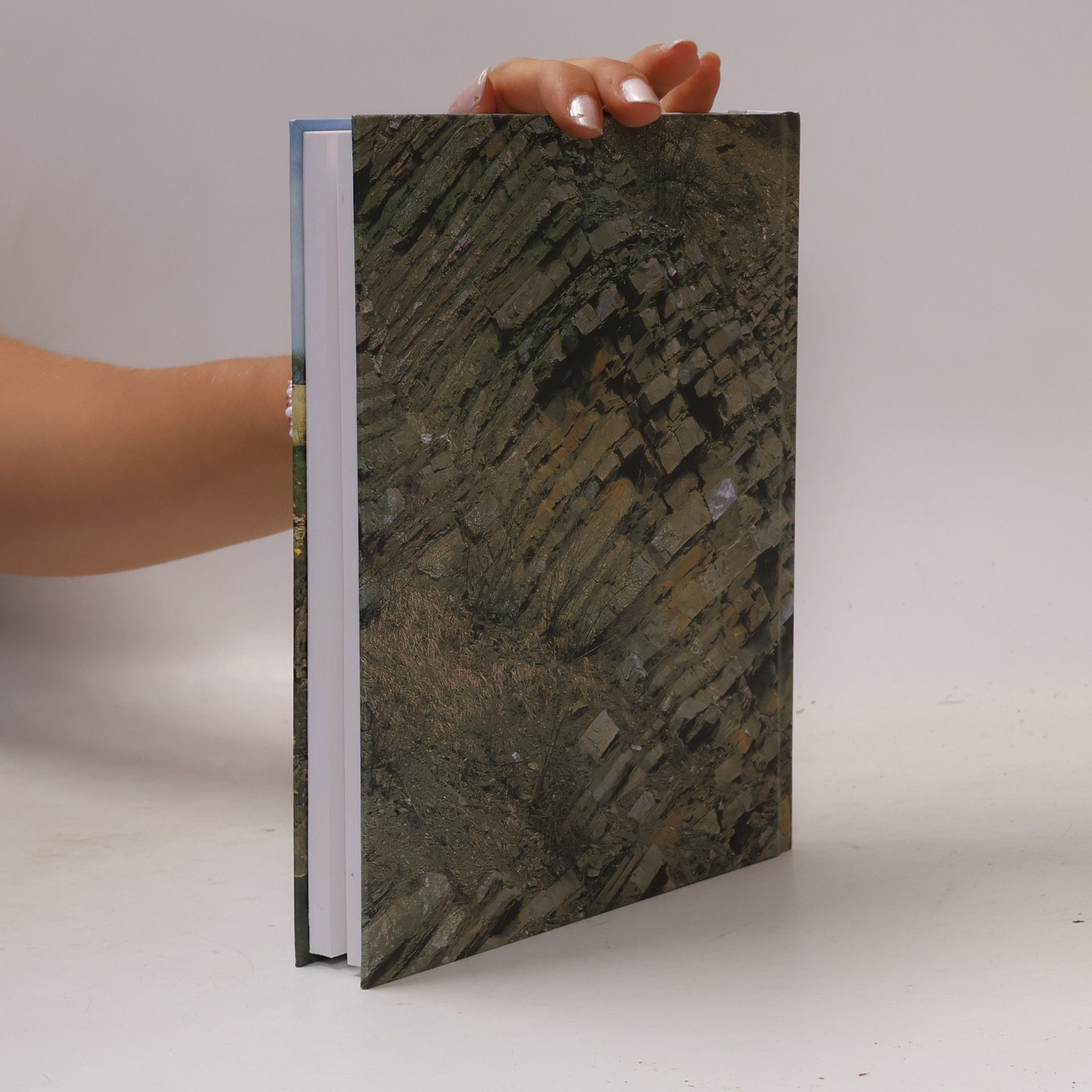 Jiří Kříž Geologické památky Prahy