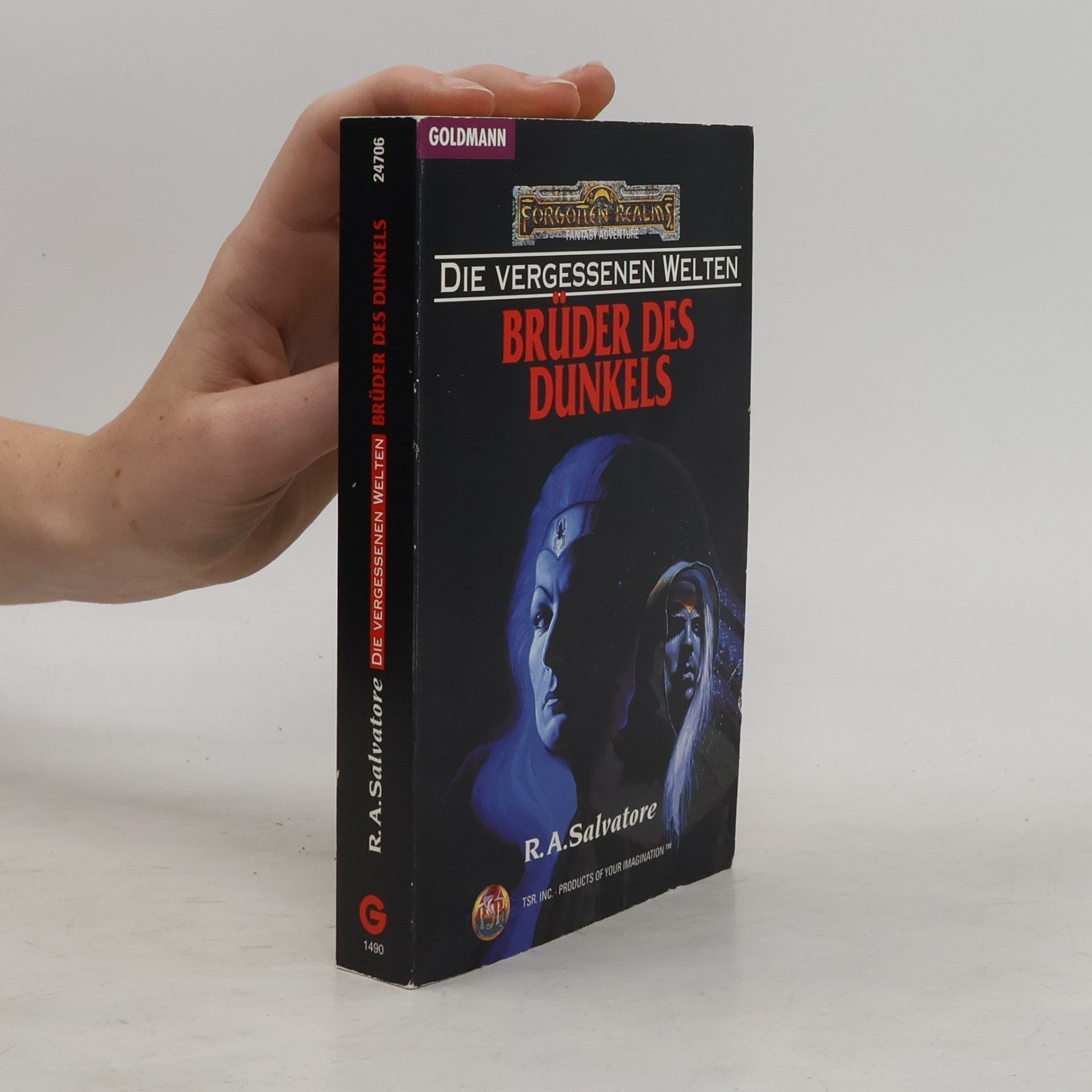 R. A. Salvatore Brüder des Dunkels