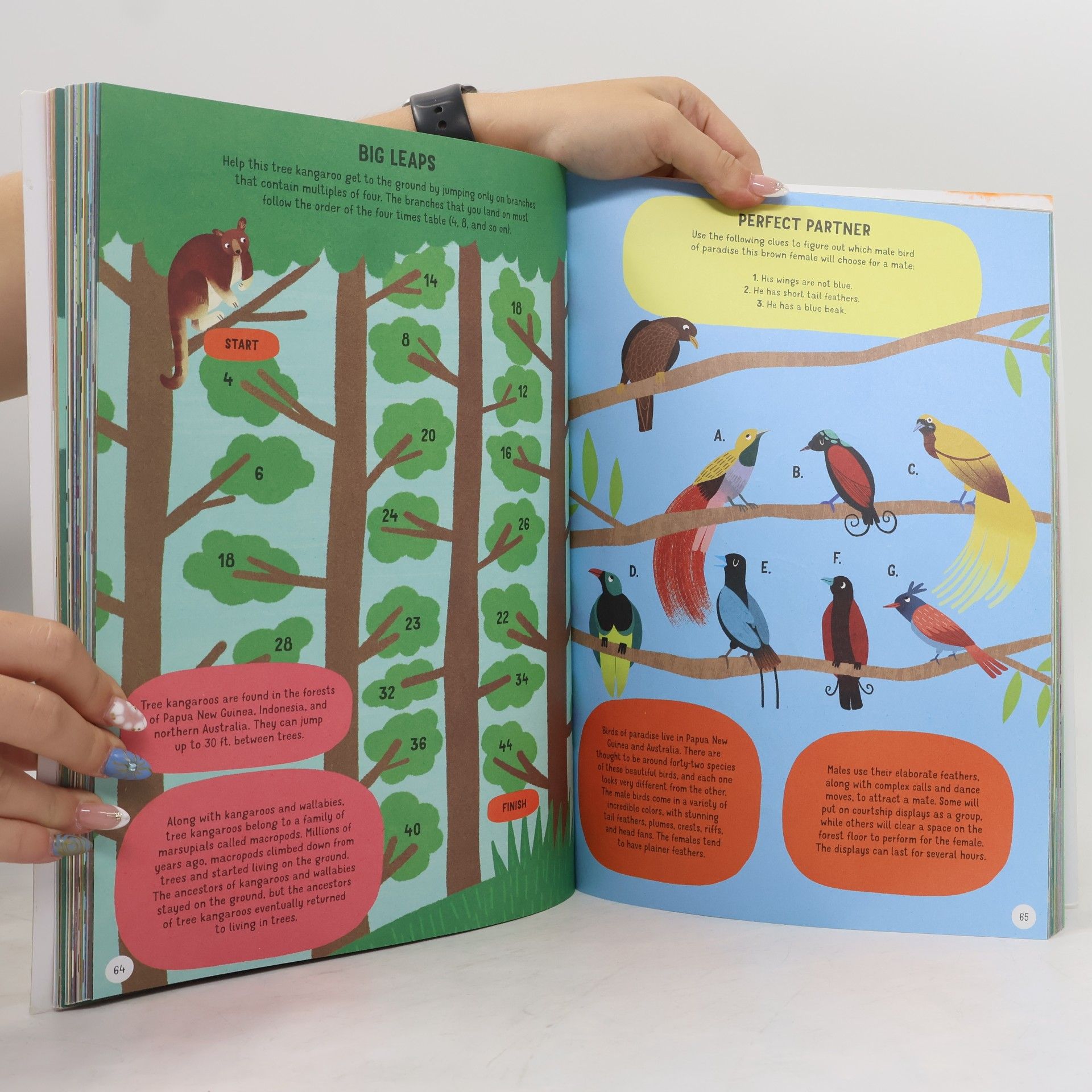 Jean Claude Big Animal Busy Book