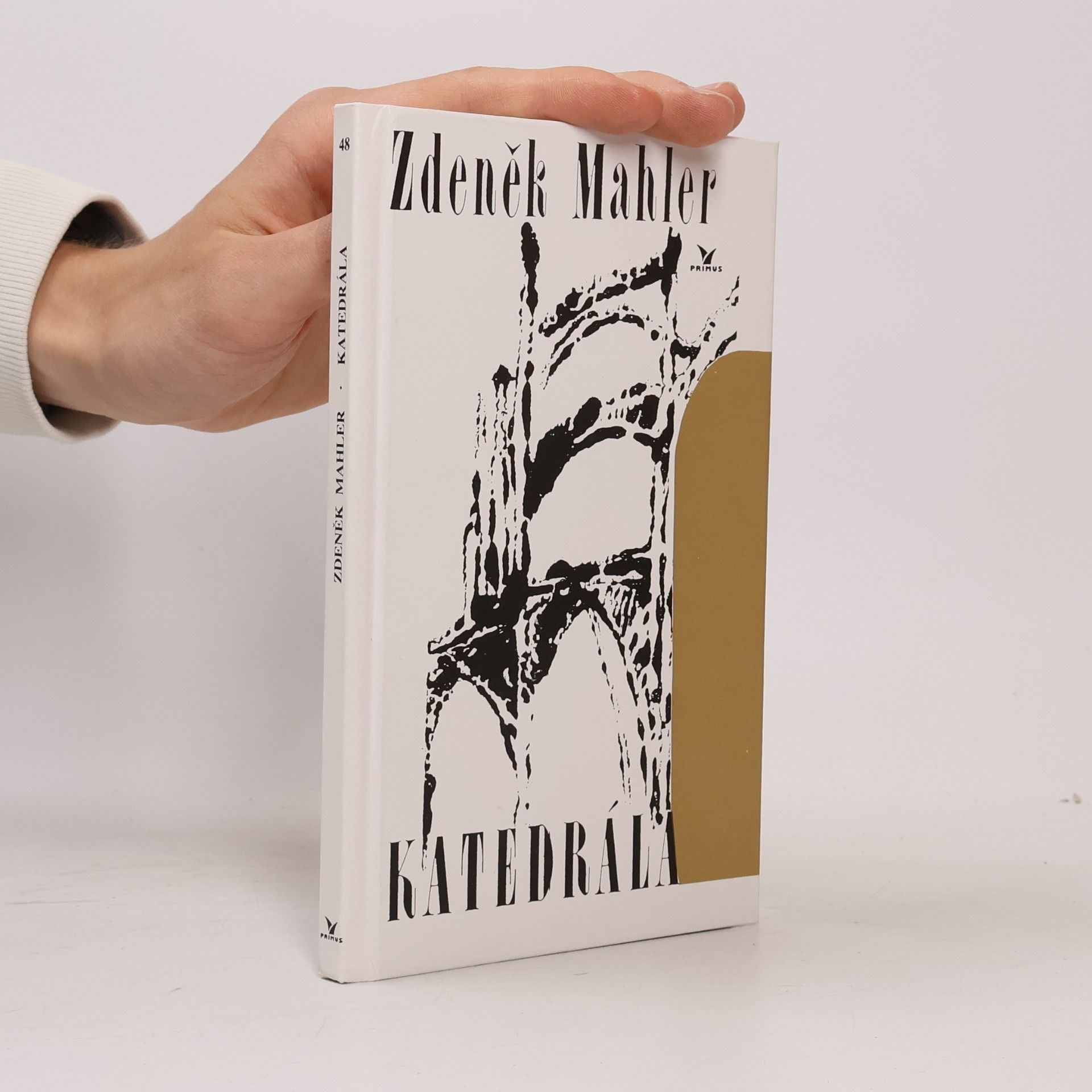 Zdeněk Mahler Katedrála
