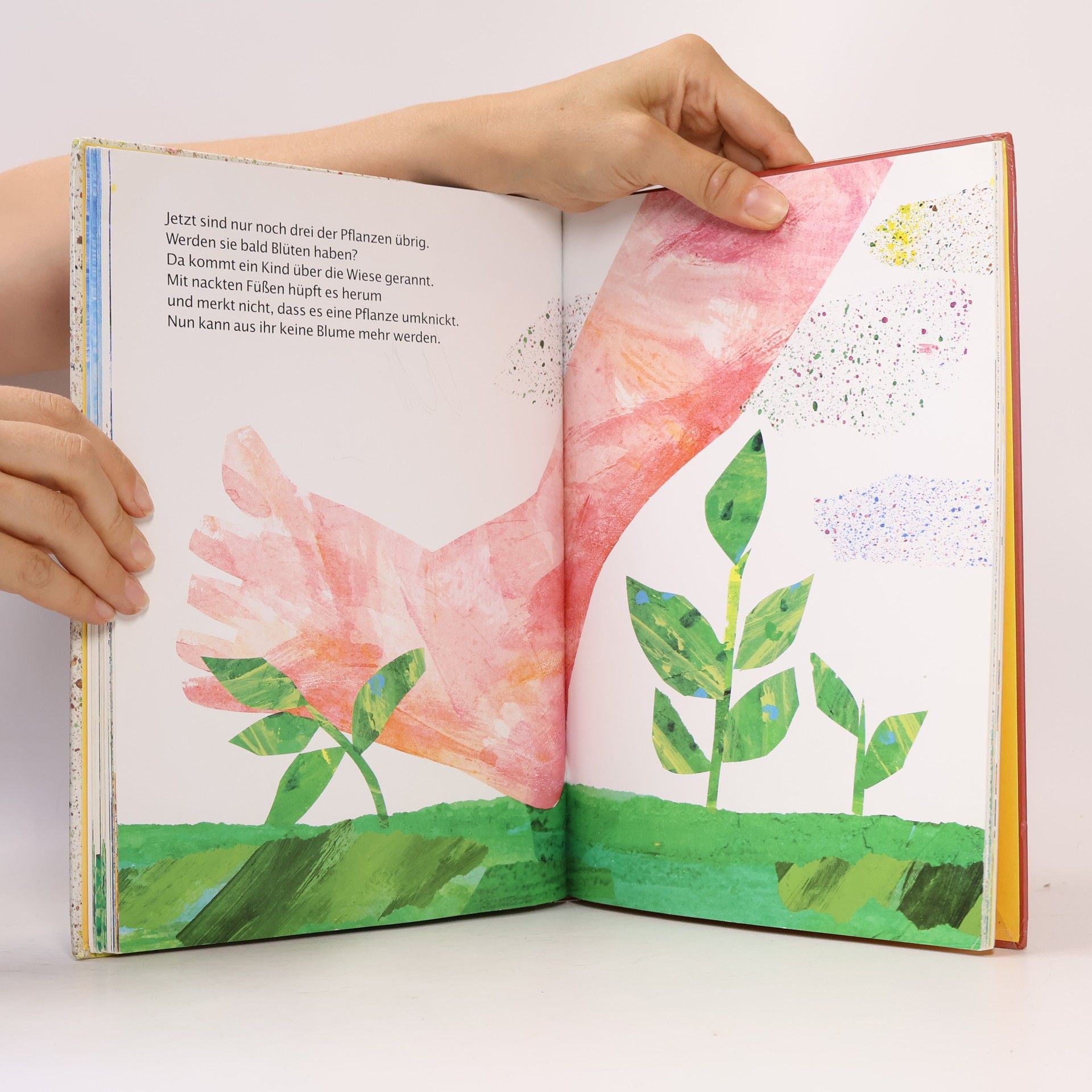 Eric Carle Bilder-Buch-Schatz