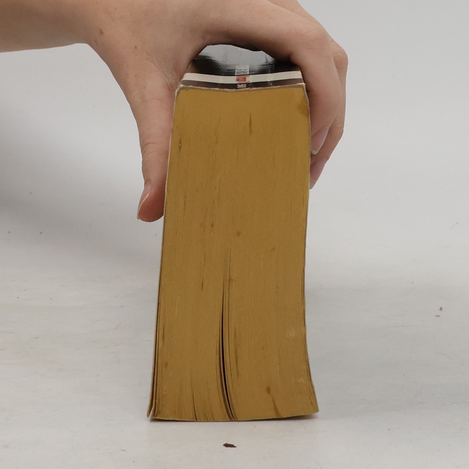 Fred Saberhagen Das Buch der Schwerter