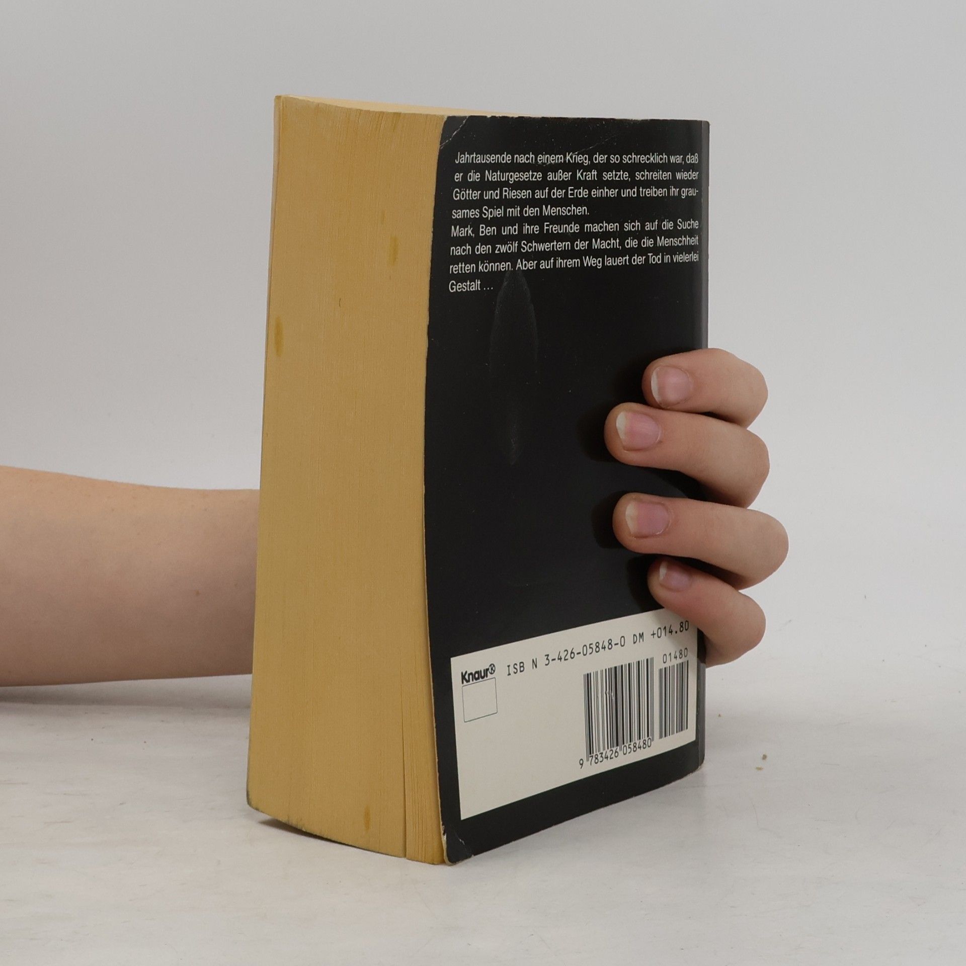 Fred Saberhagen Das Buch der Schwerter