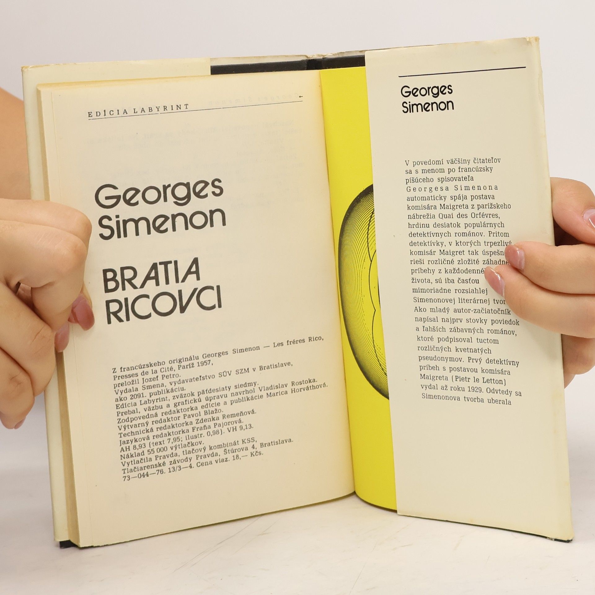 Georges Simenon Bratia Ricovci