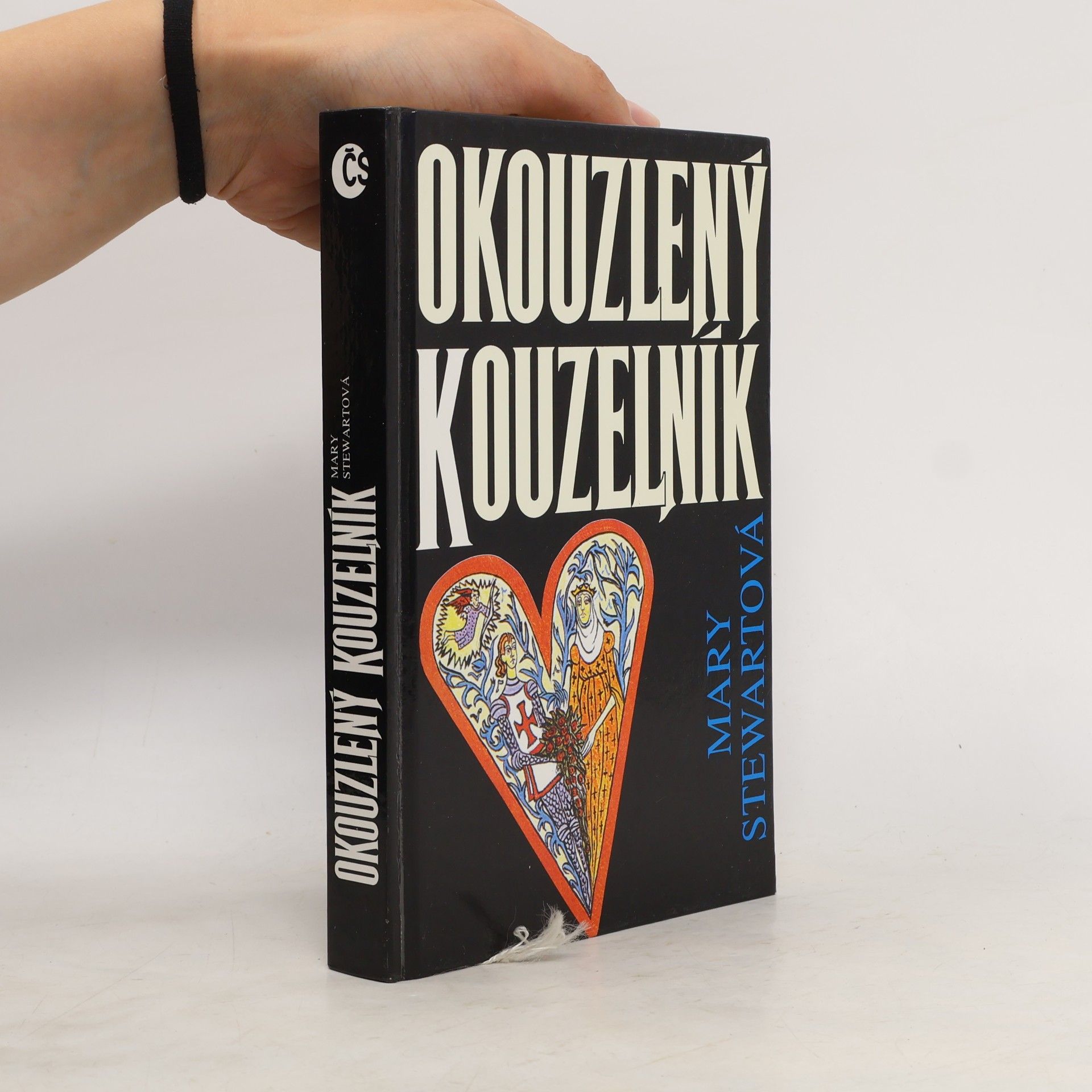Mary Stewart Okouzlený kouzelník