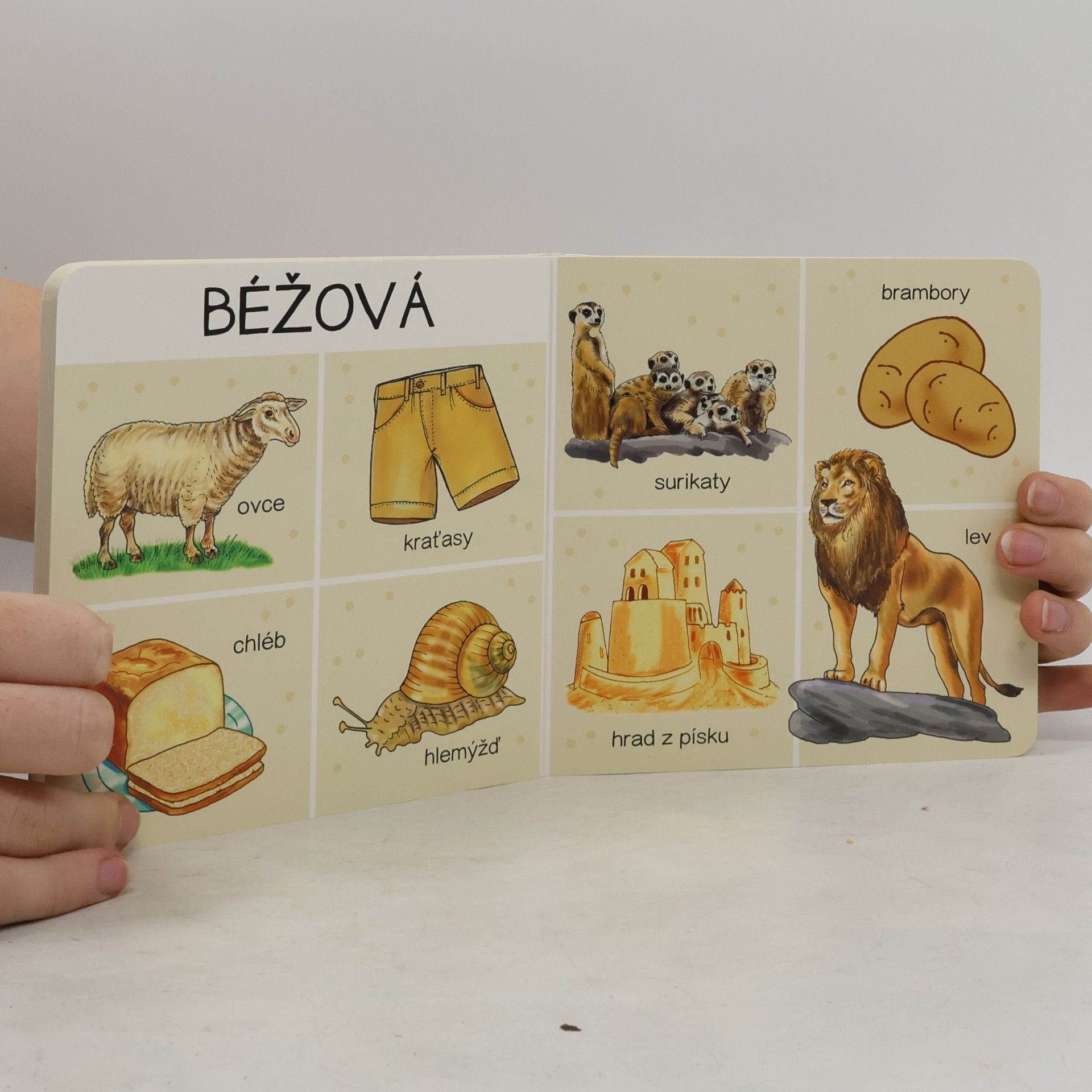 Kolektiv autorů Barvy: mých prvních 101 slov