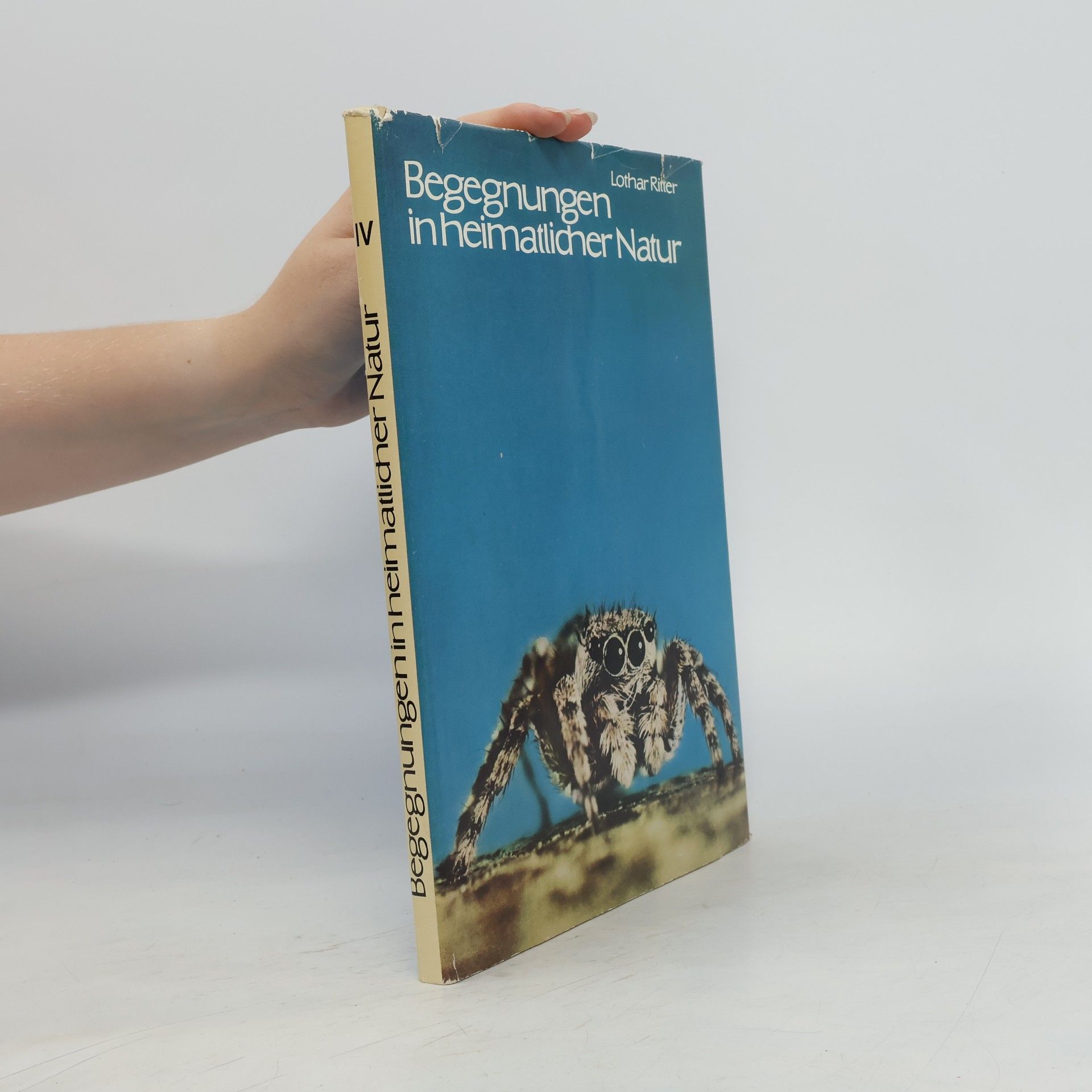 Lothar Ritter Begegnungen in heimatlicher Natur IV