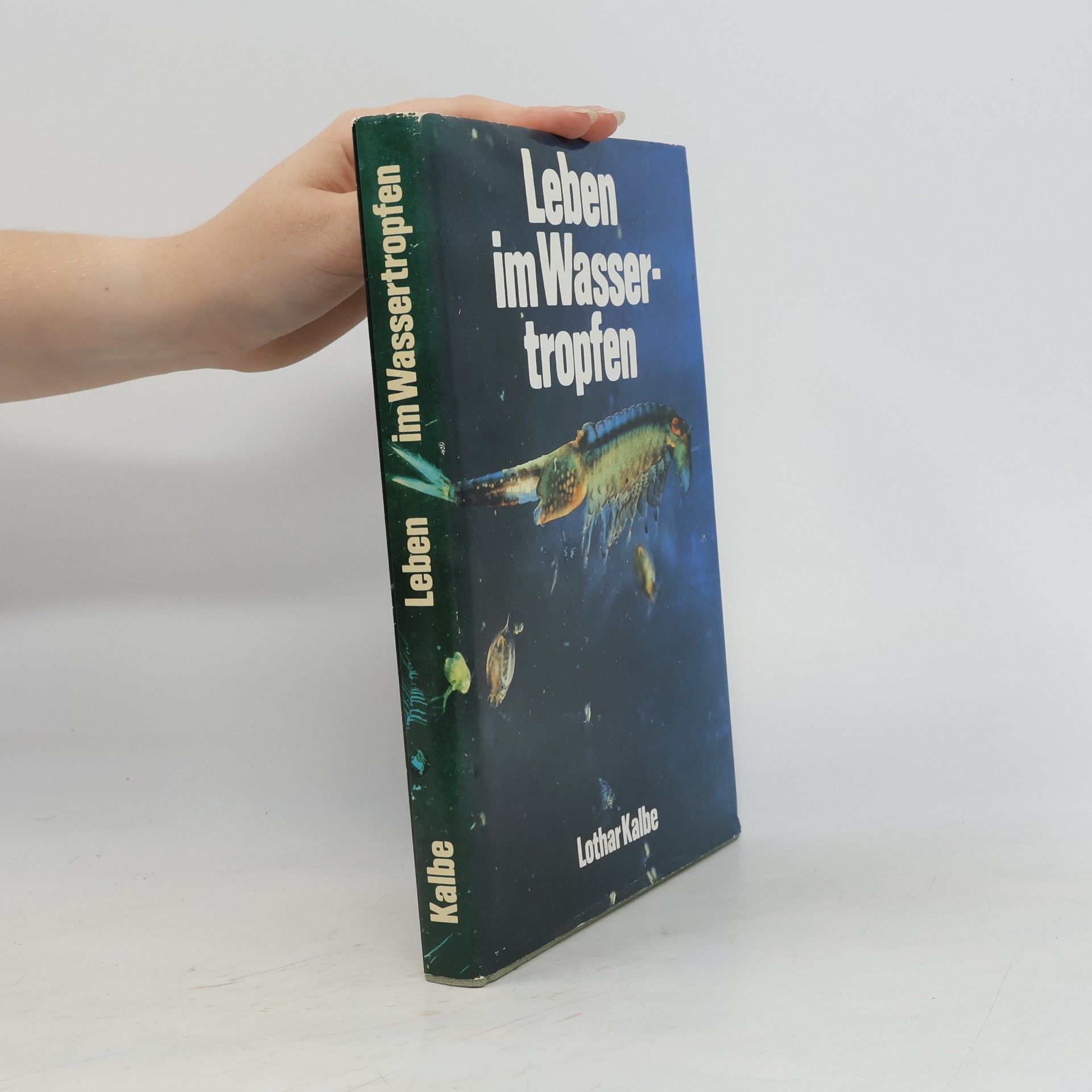 Lothar Kalbe Leben im Wassertropfen