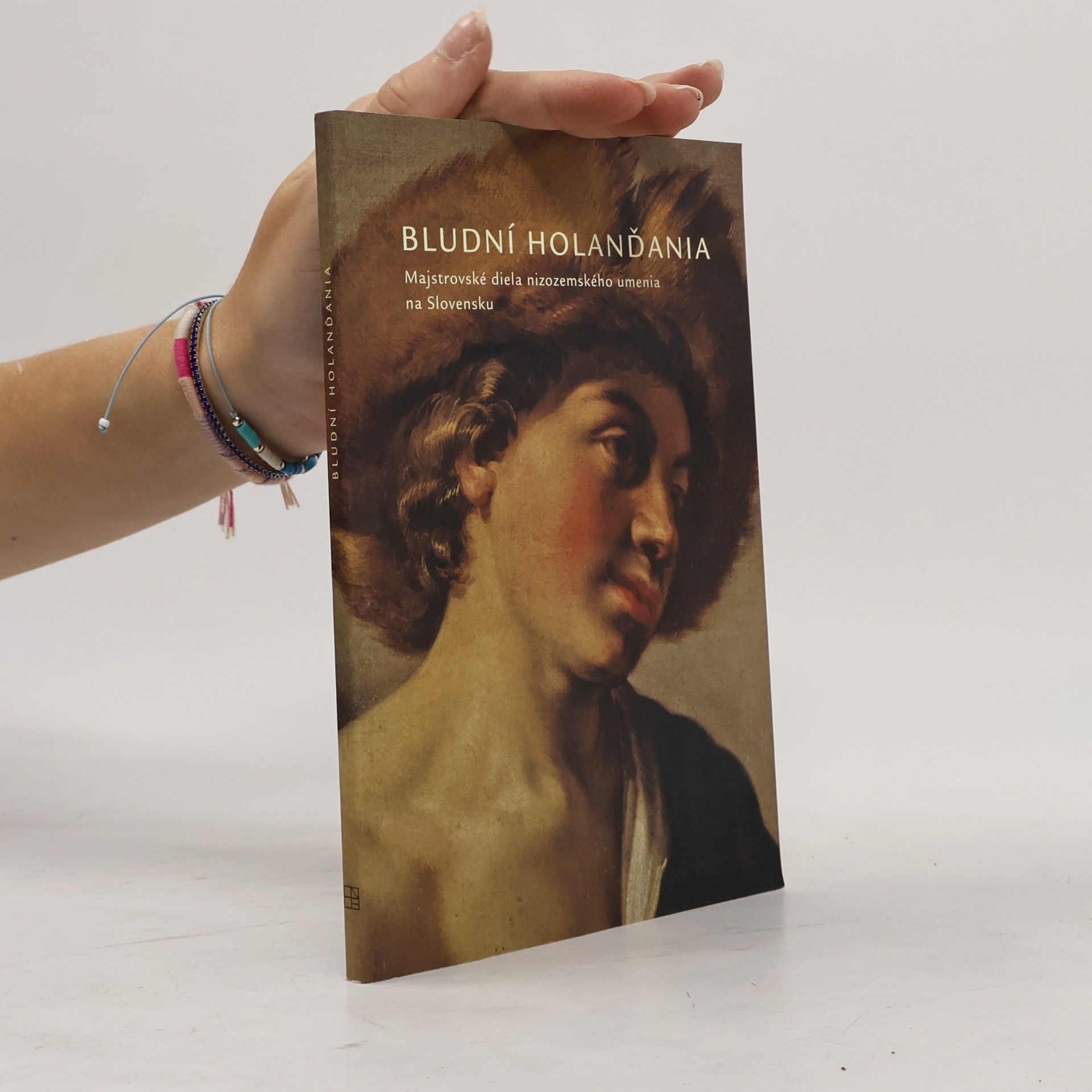 Autorenkollektiv Bludní Holanďania: majstrovské diela nizozemského umenia na Slovensku