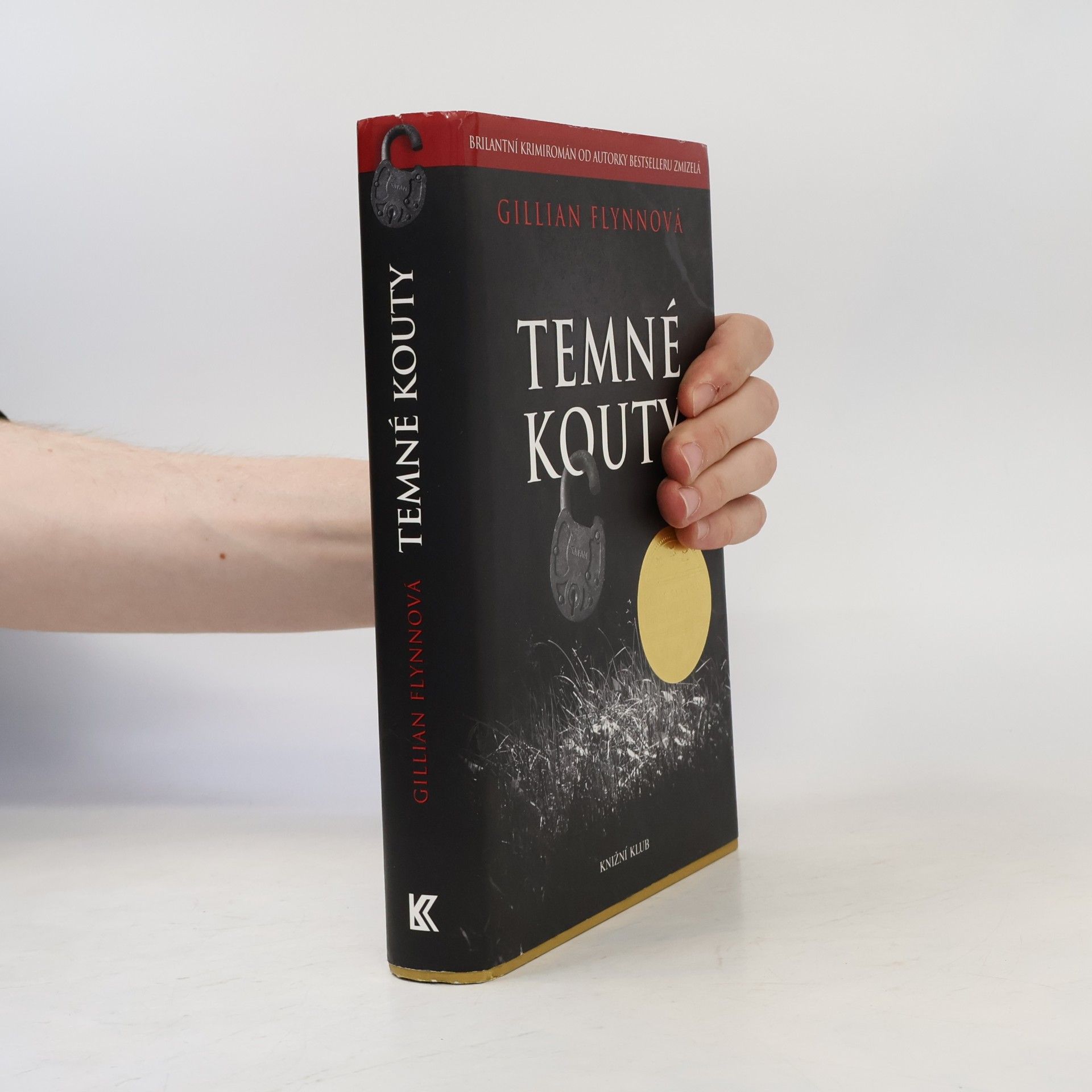 Gillian Flynn Temné kouty