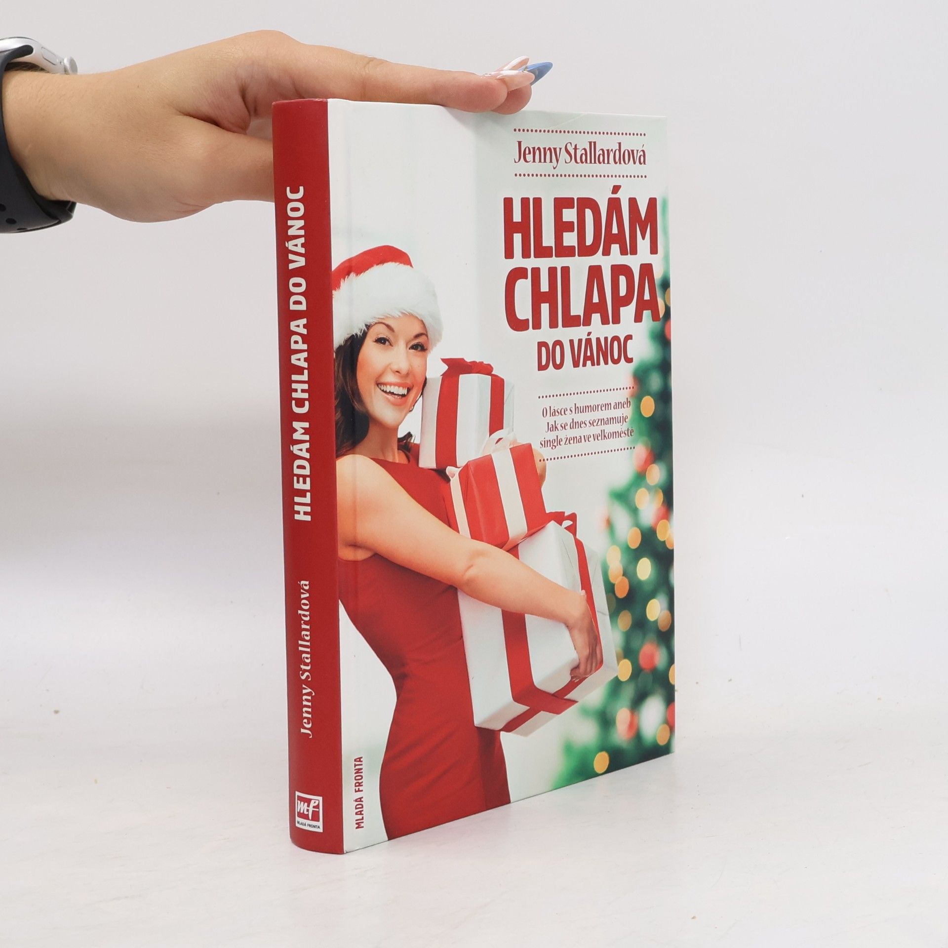 Jenny Stallard Hledám chlapa do Vánoc