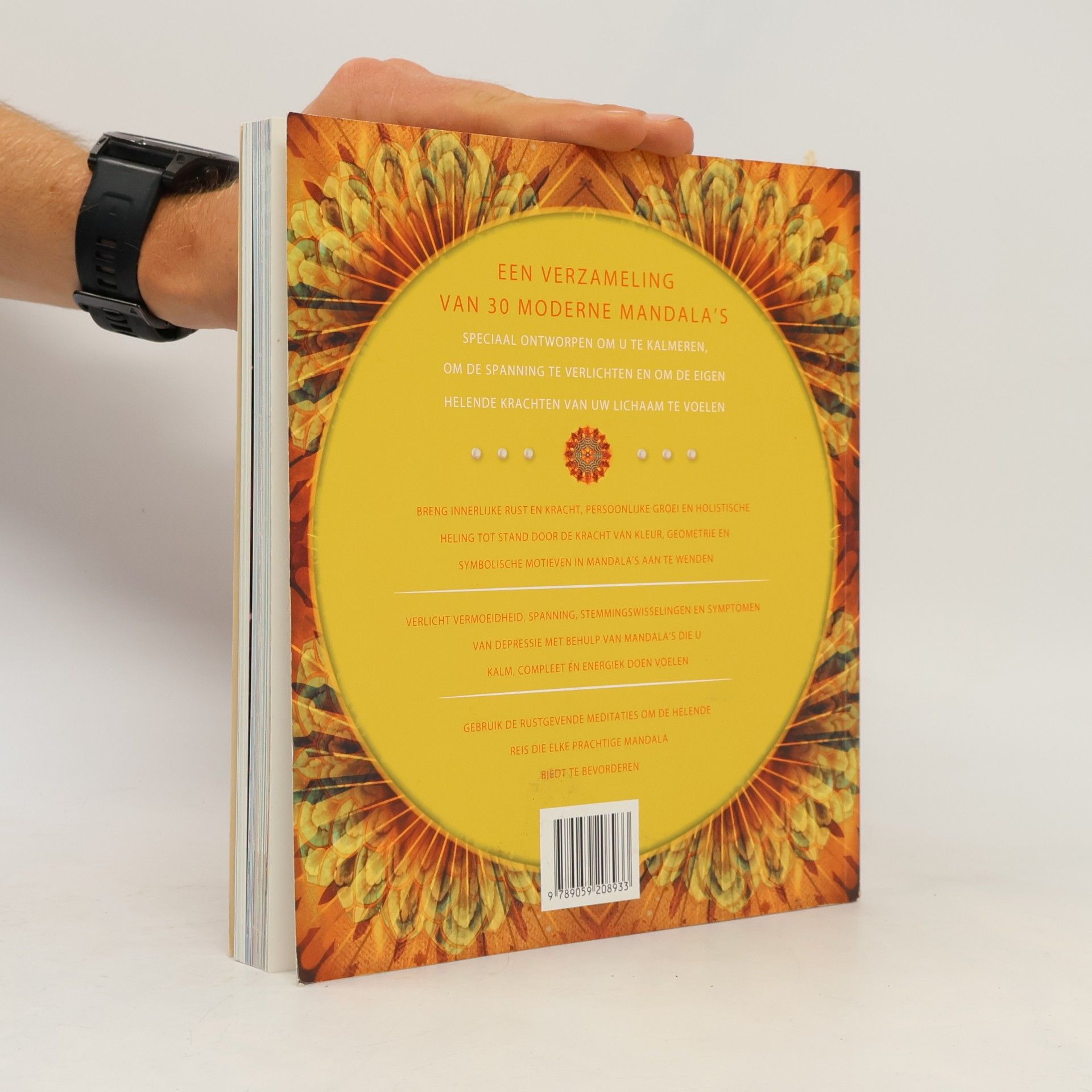 Lisa Tenzin-Dolma Mandala Meditaties
