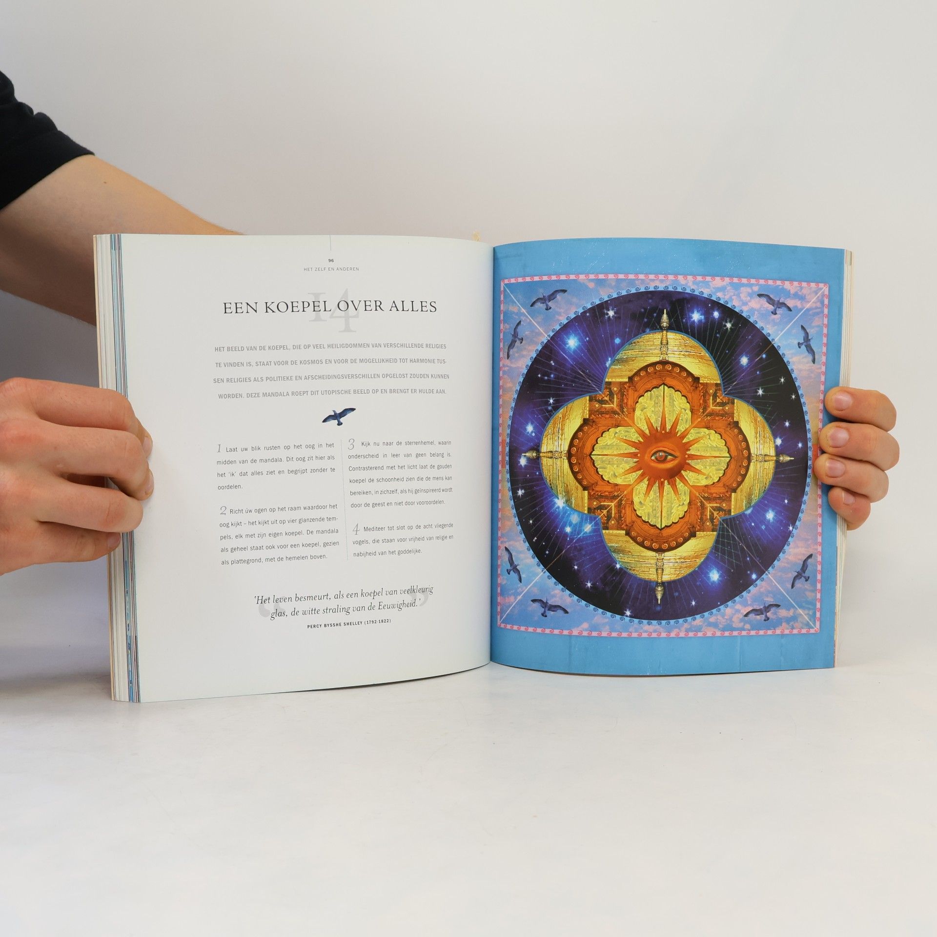 Lisa Tenzin-Dolma Mandala Meditaties