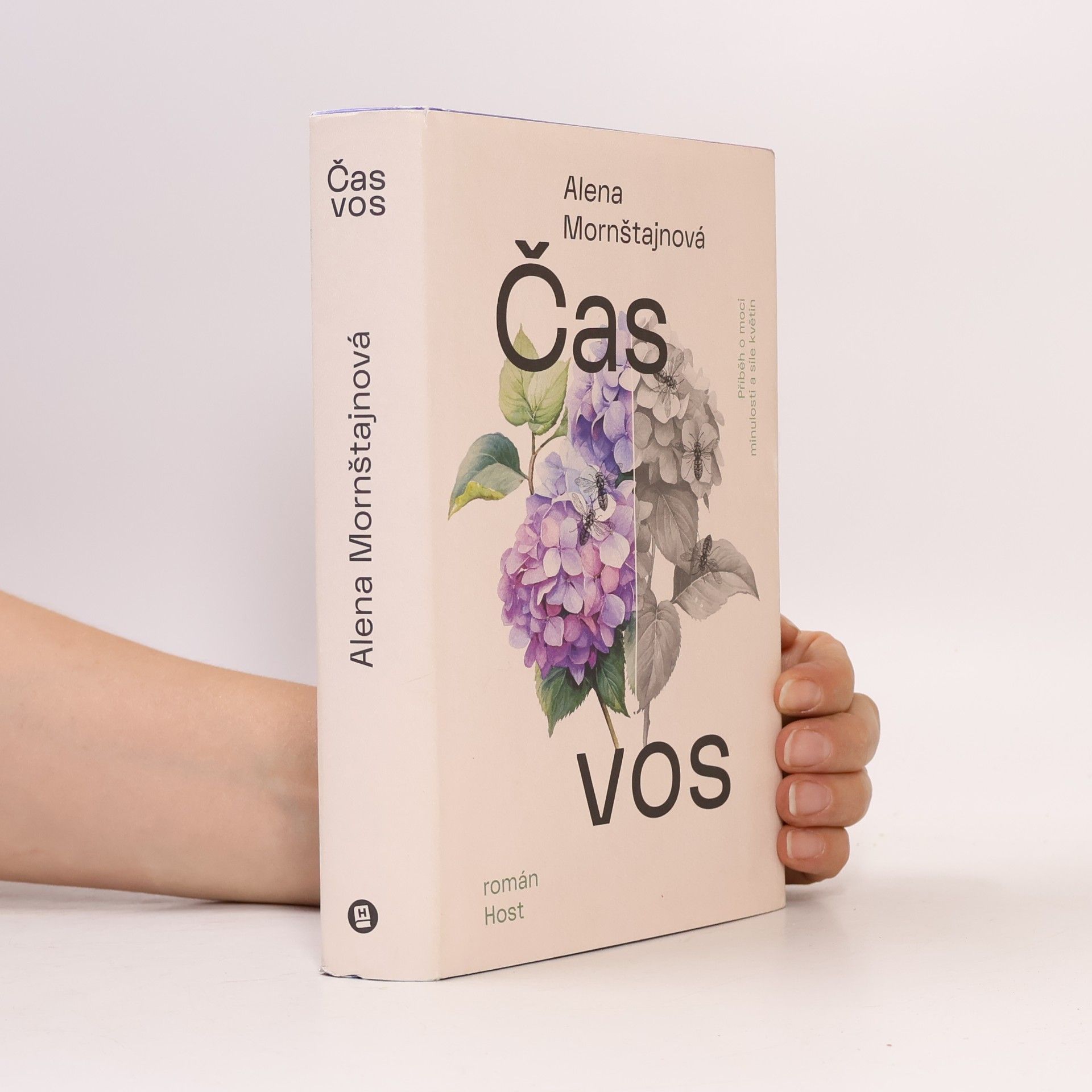 Alena Mornštajnová Čas vos