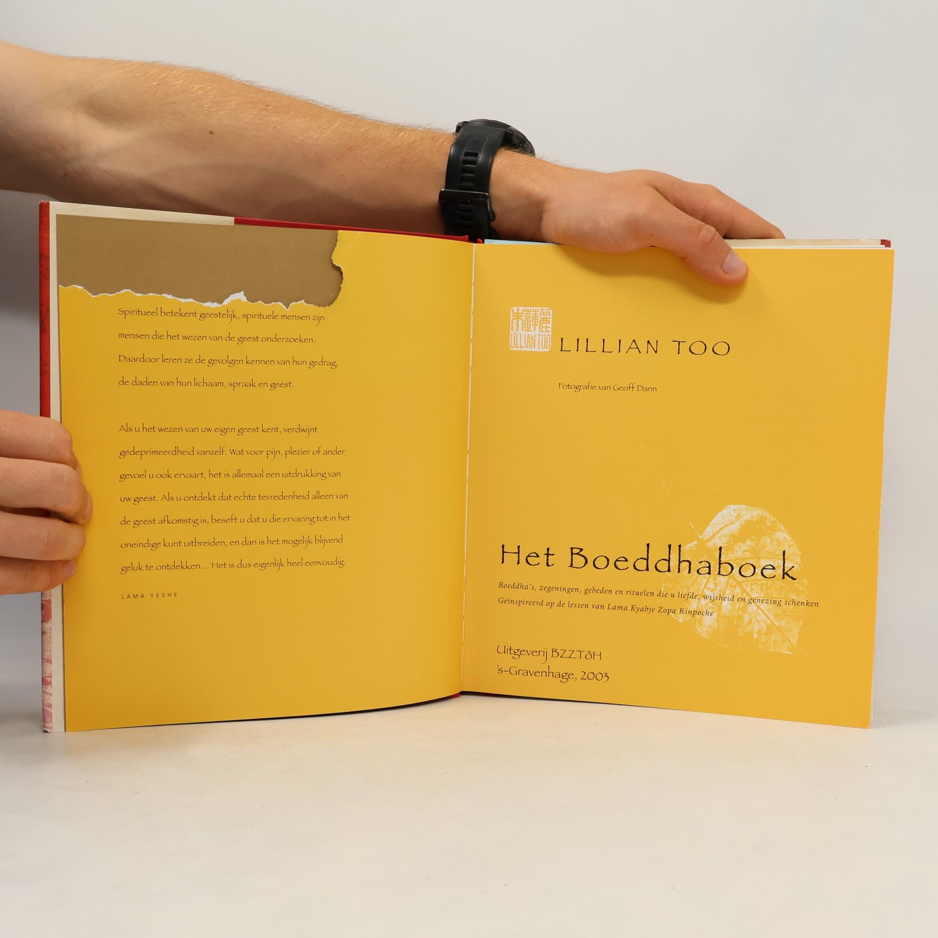 Lillian Too Het Boeddha-boek