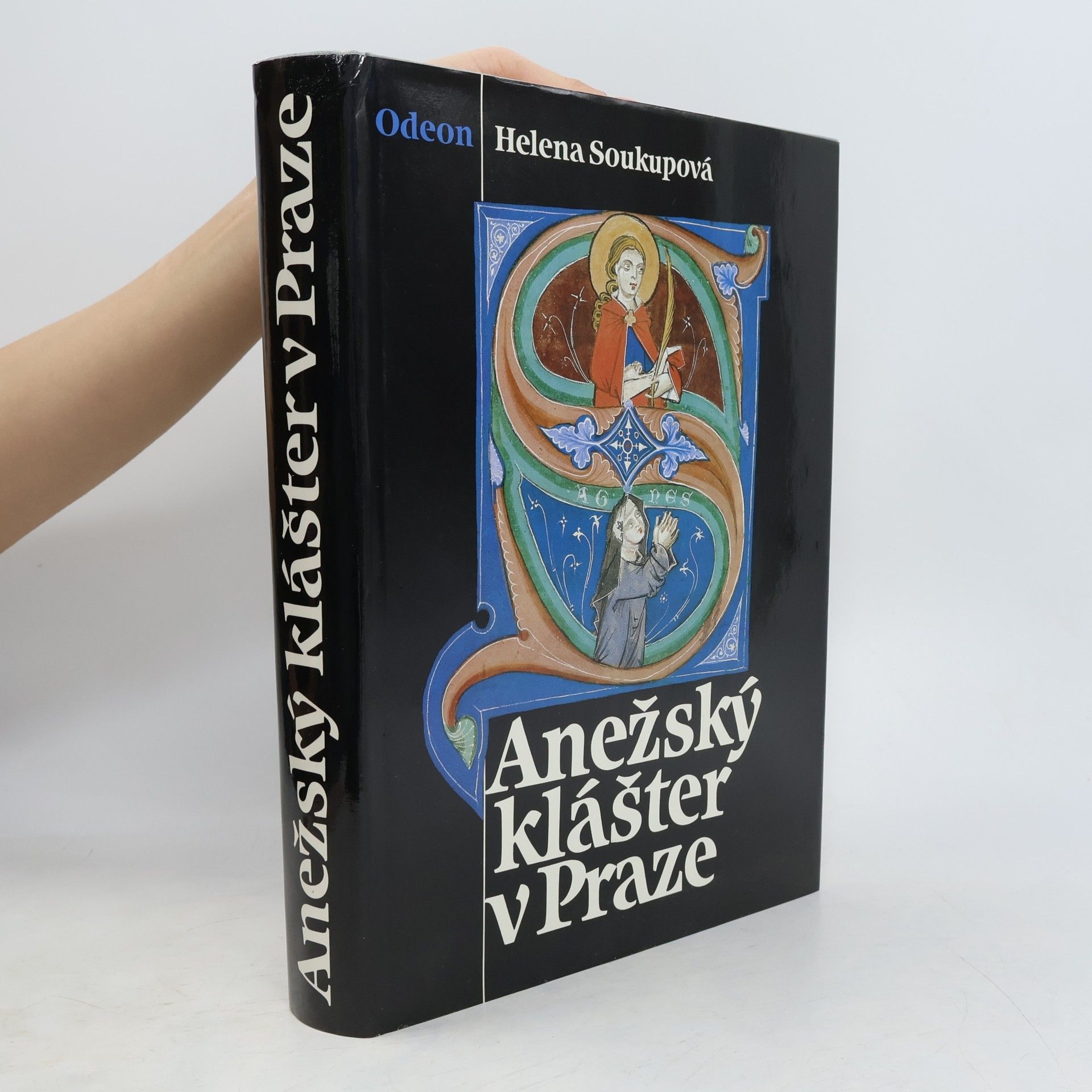 Helena Soukupová Anežský klášter v Praze