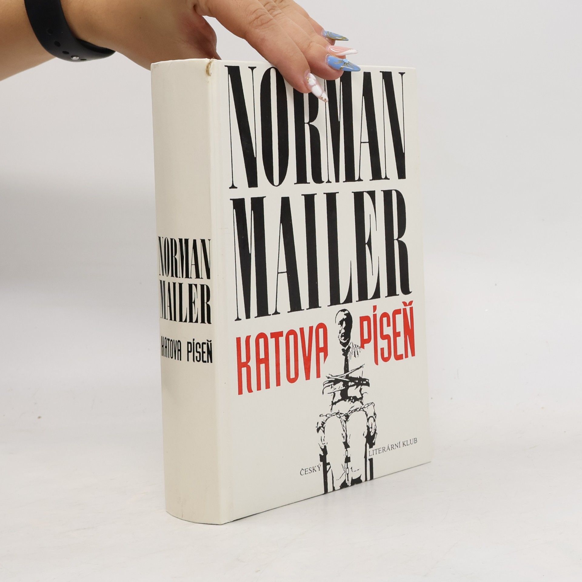 Norman Mailer Katova píseň