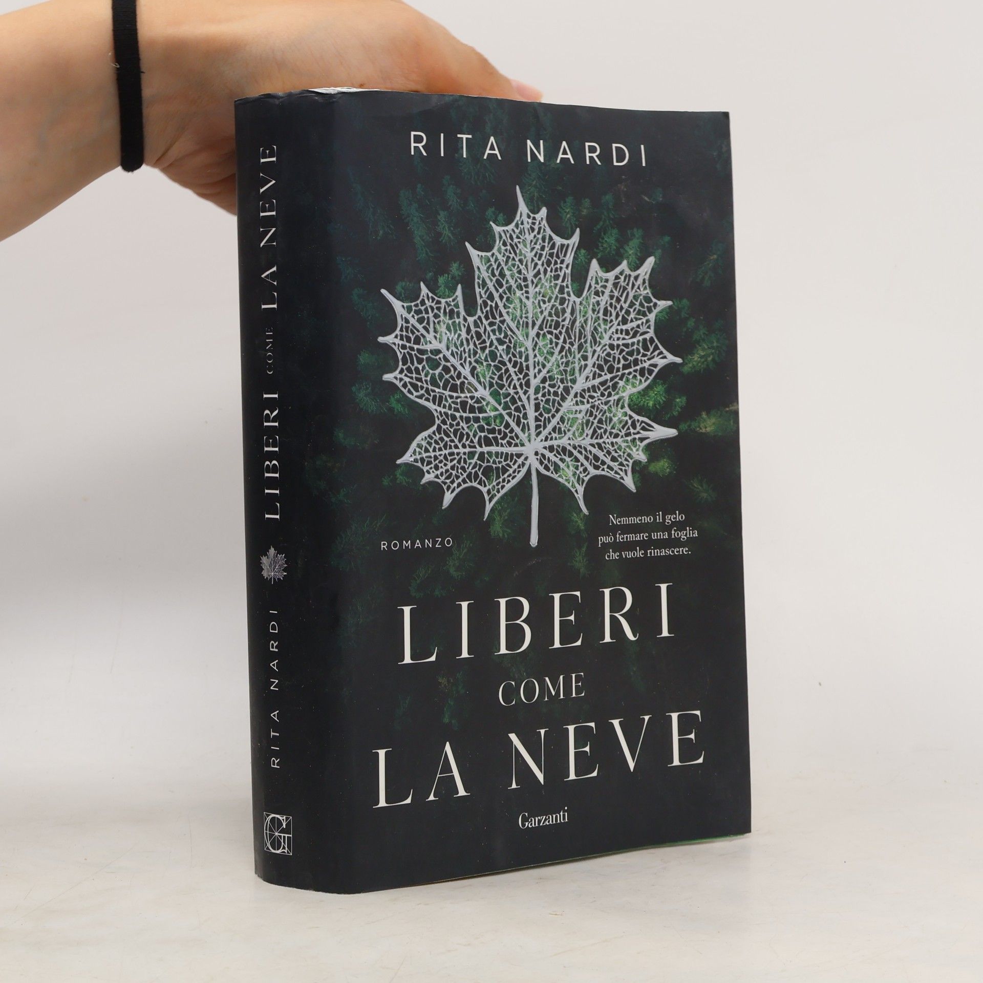 Liberi come la neve