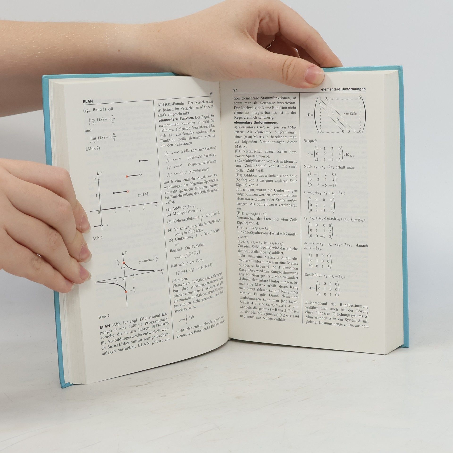 Herald Scheid Schülerduden. Die Mathematik II