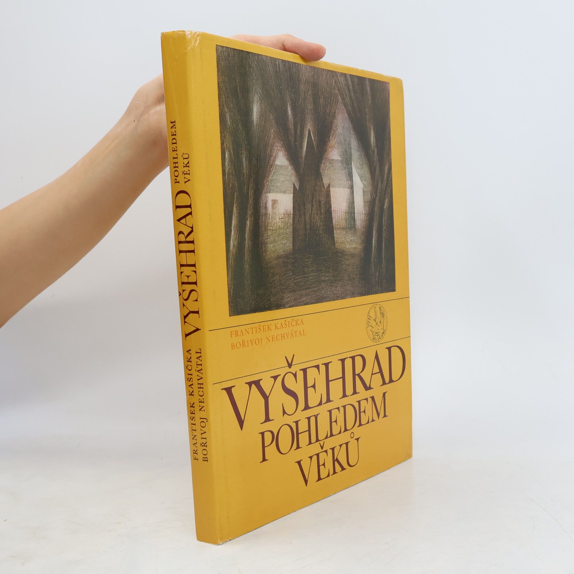 František Kašička Vyšehrad pohledem věků