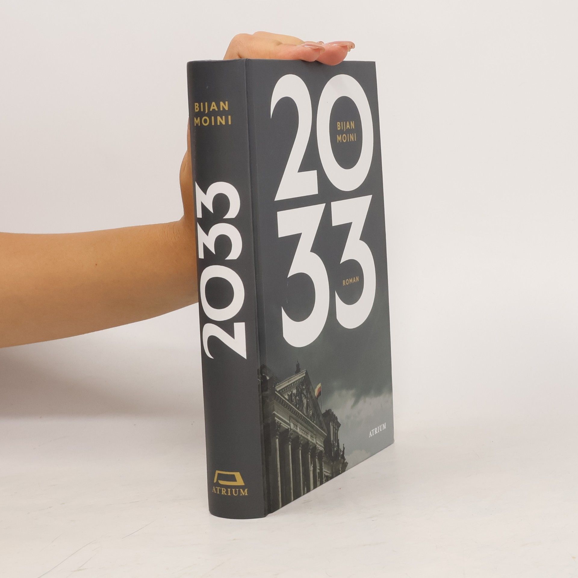 Bijan Moini 2033