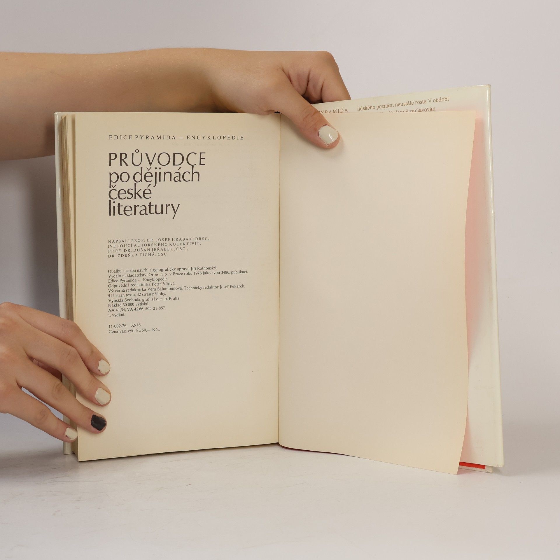 Zdeňka Tichá Průvodce po dějinách české literatury