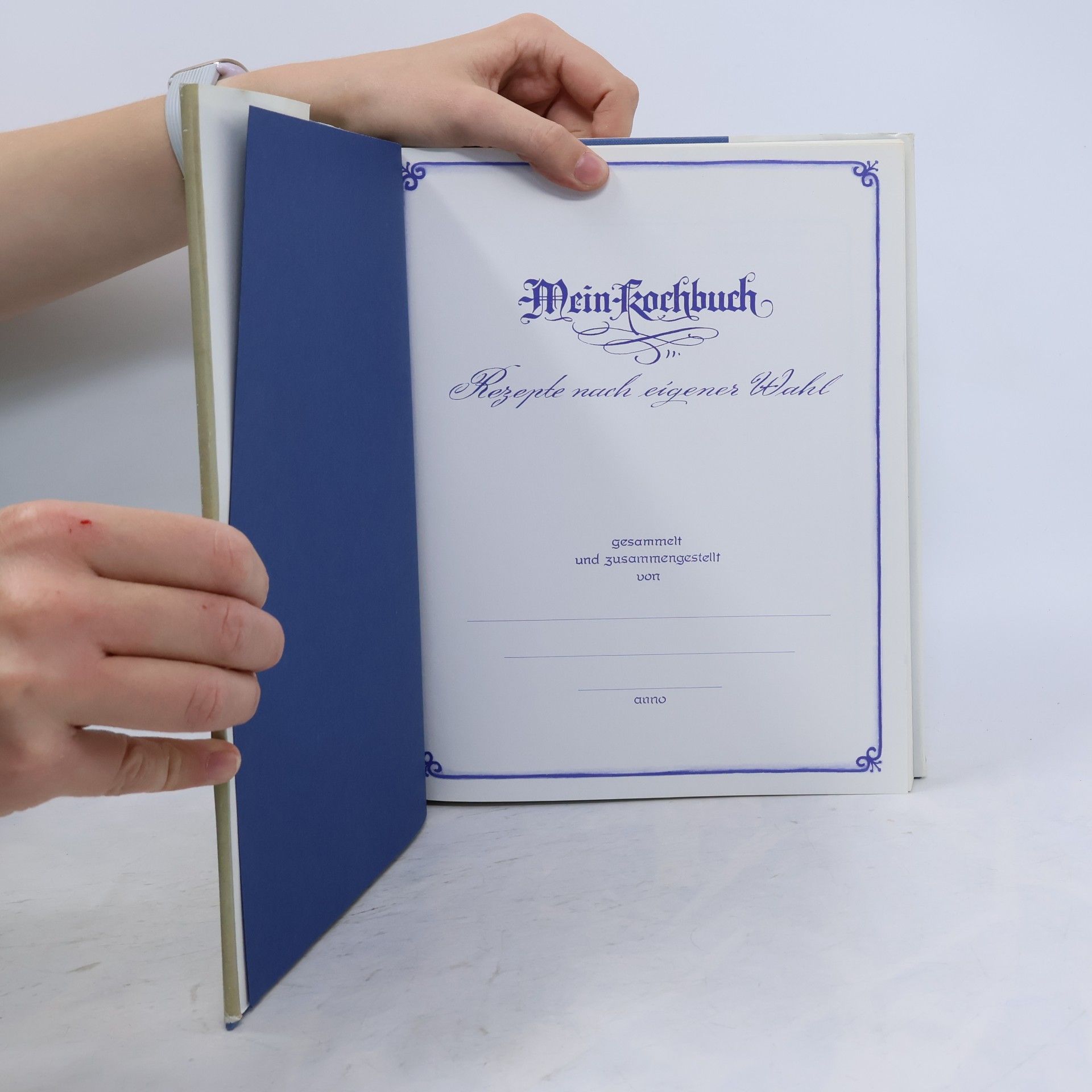 Autorenkollektiv Mein Kochbuch. Rezepte nach eigener Wahl