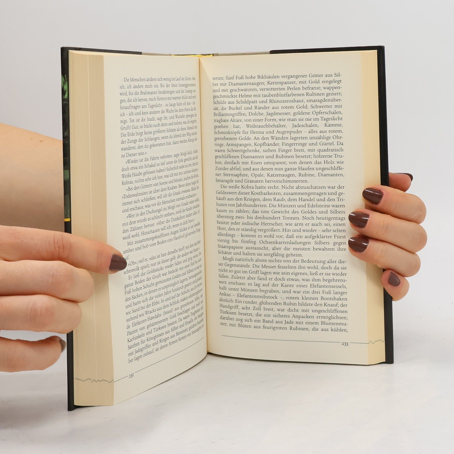 Rudyard Kipling Das Dschungelbuch