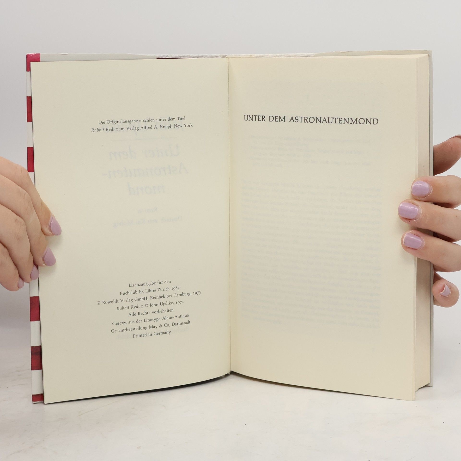 John Updike Unter dem Astronautenmond