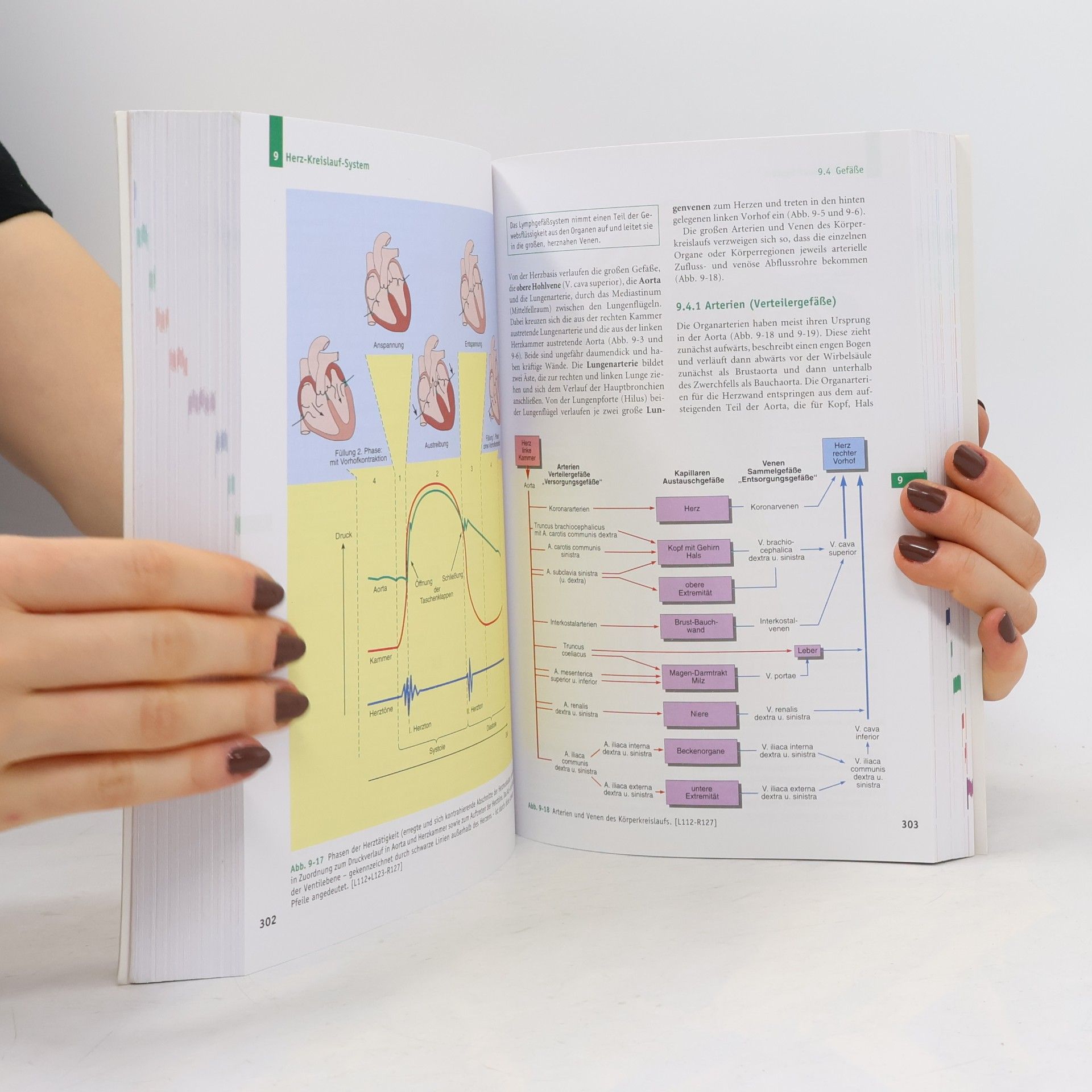 Erwin-Josef Speckmann Handbuch Anatomie