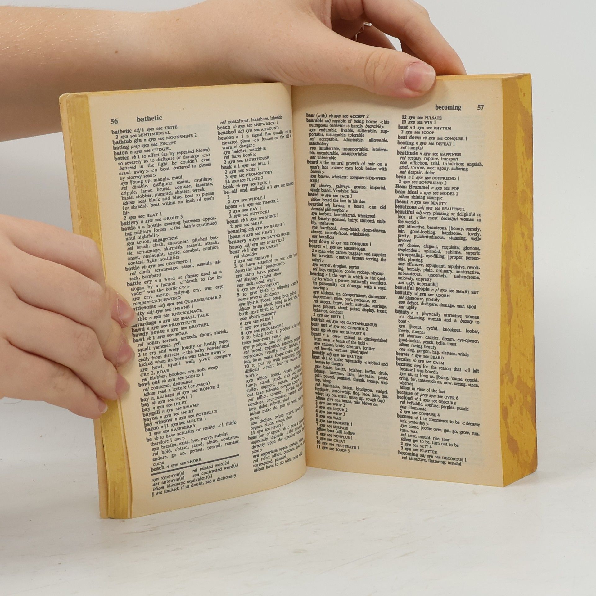 Kolektiv autorů The Merriam-Webster Thesaurus