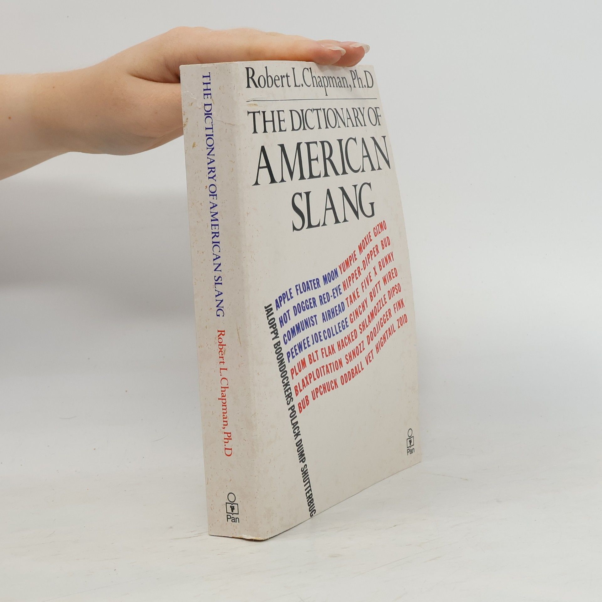 A New Dictionary of American Slang