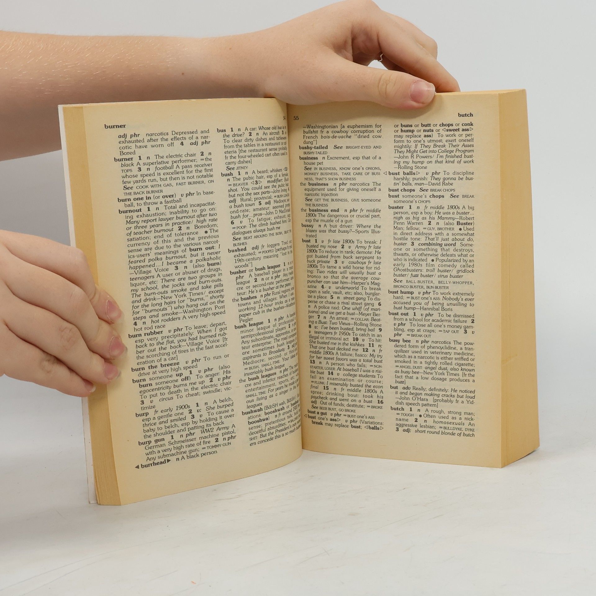 Robert L. Chapman A New Dictionary of American Slang