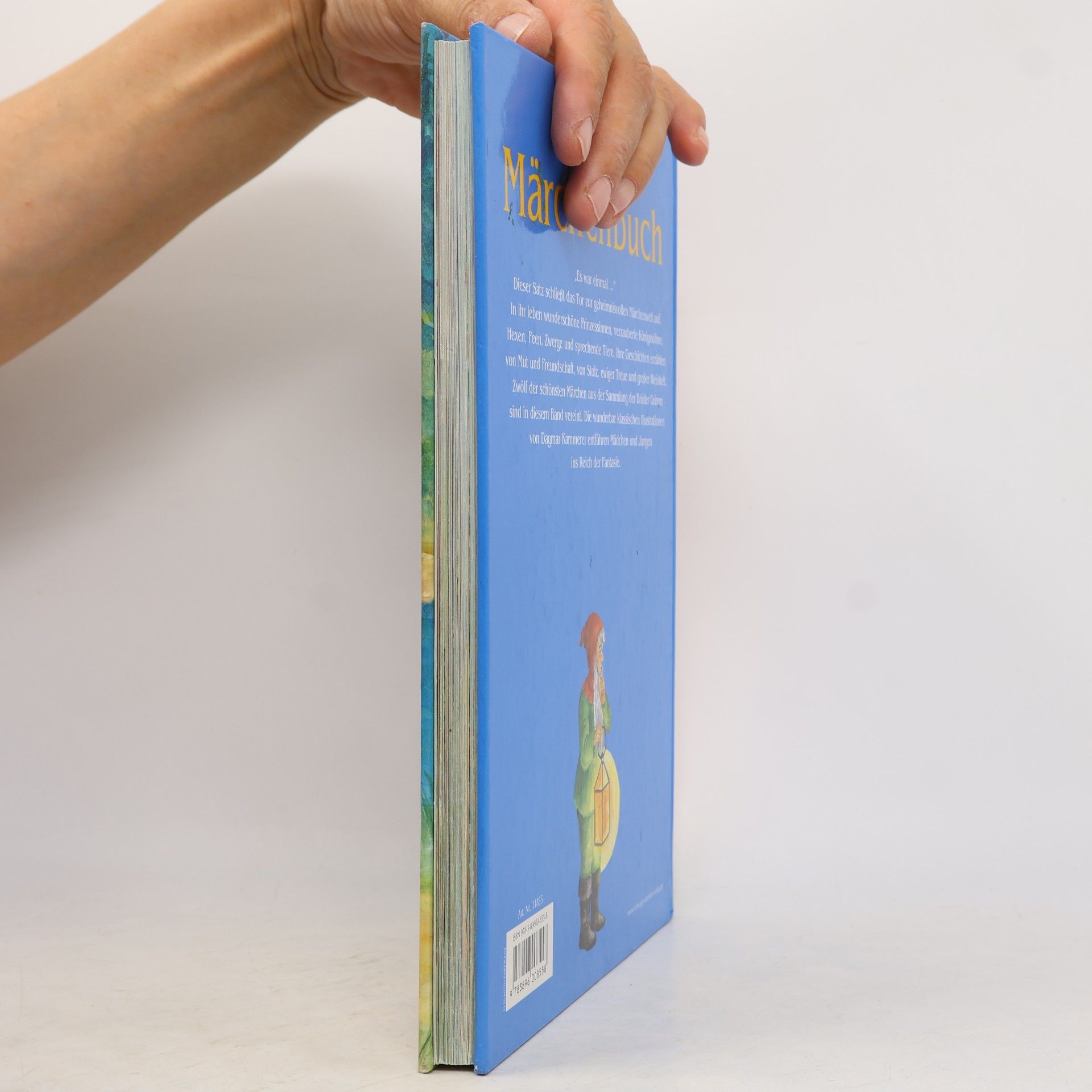 Autorenkollektiv Das große Märchenbuch