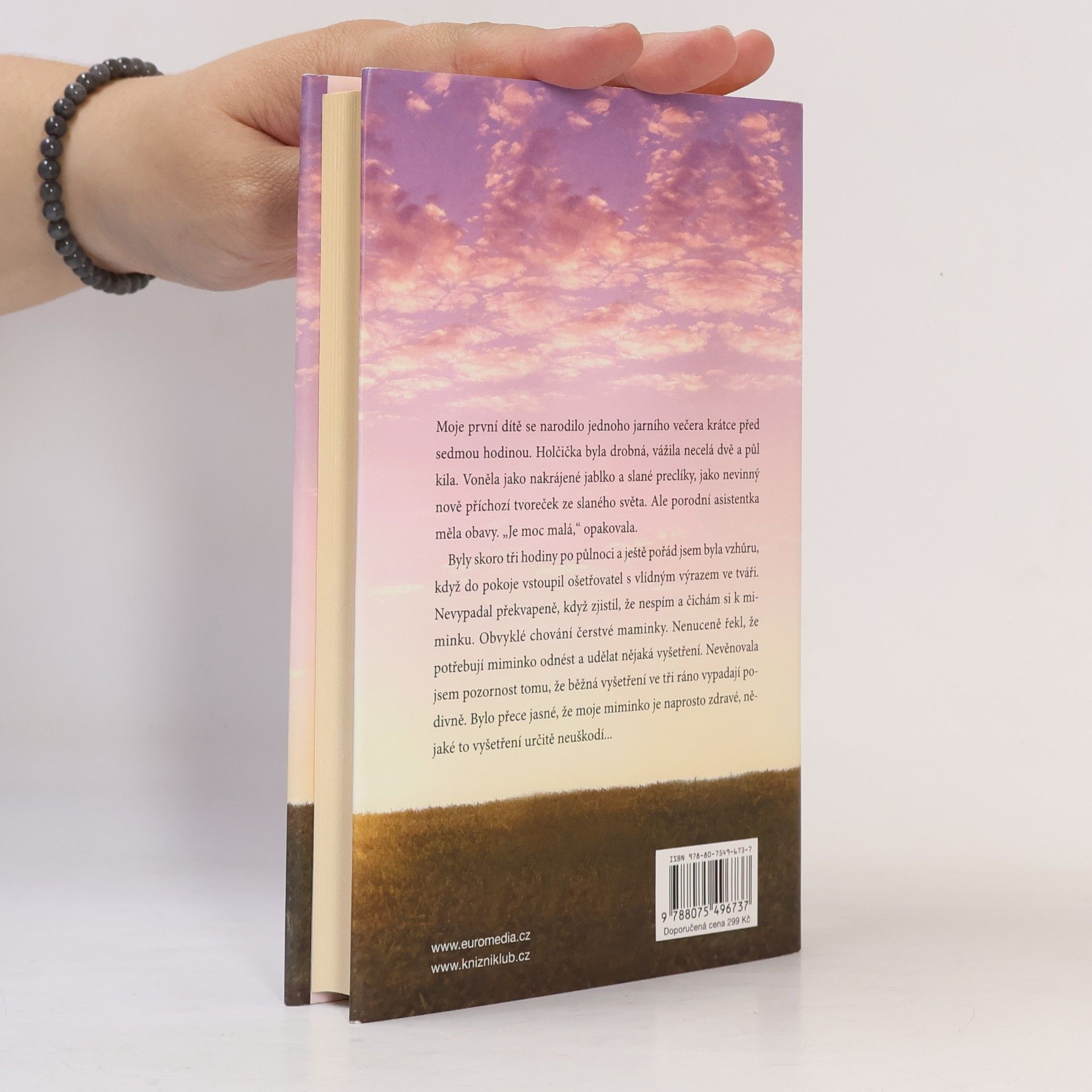 Heather Harpham Štěstí : a křivolaká cesta k němu