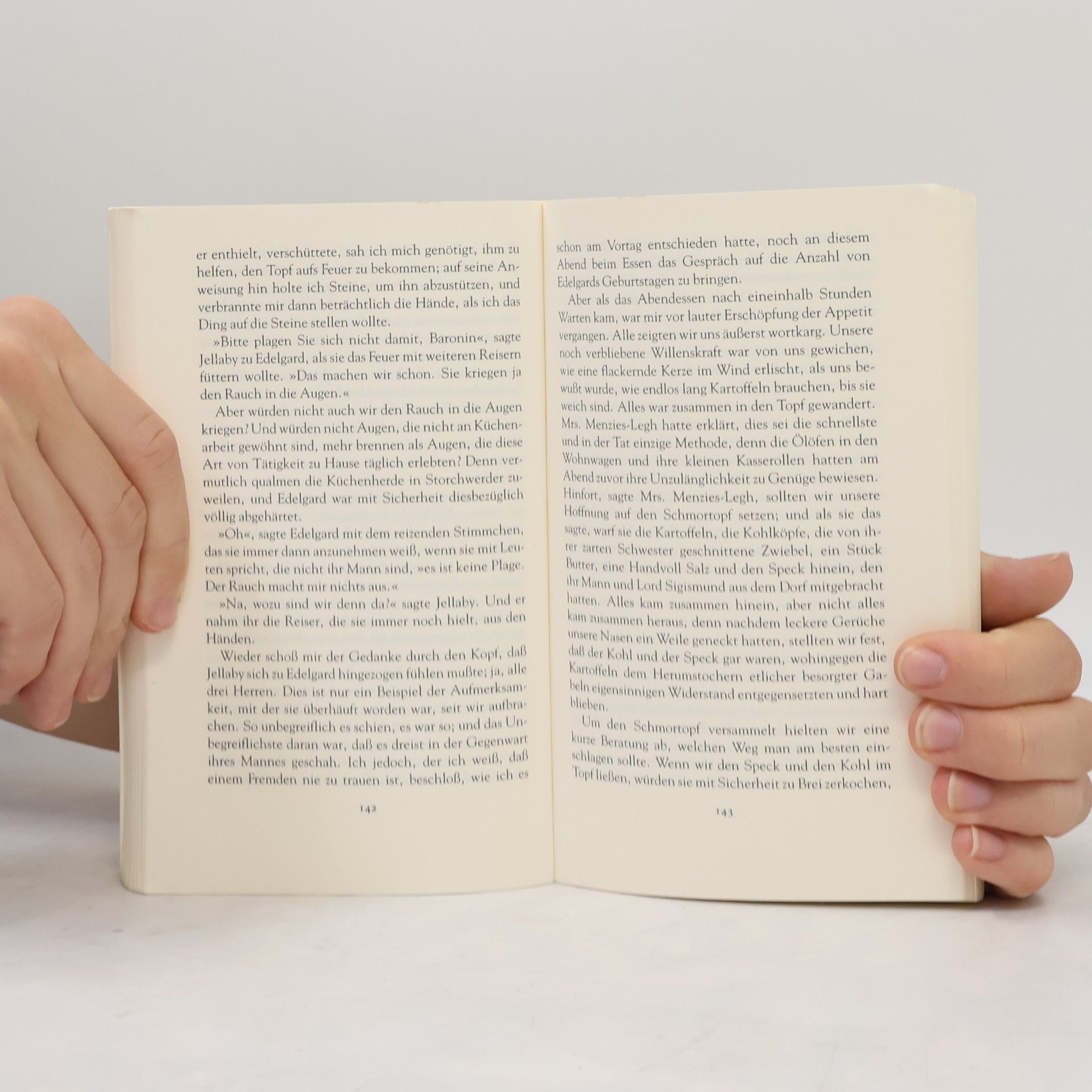 Elizabeth von Arnim Die Reisegesellschaft