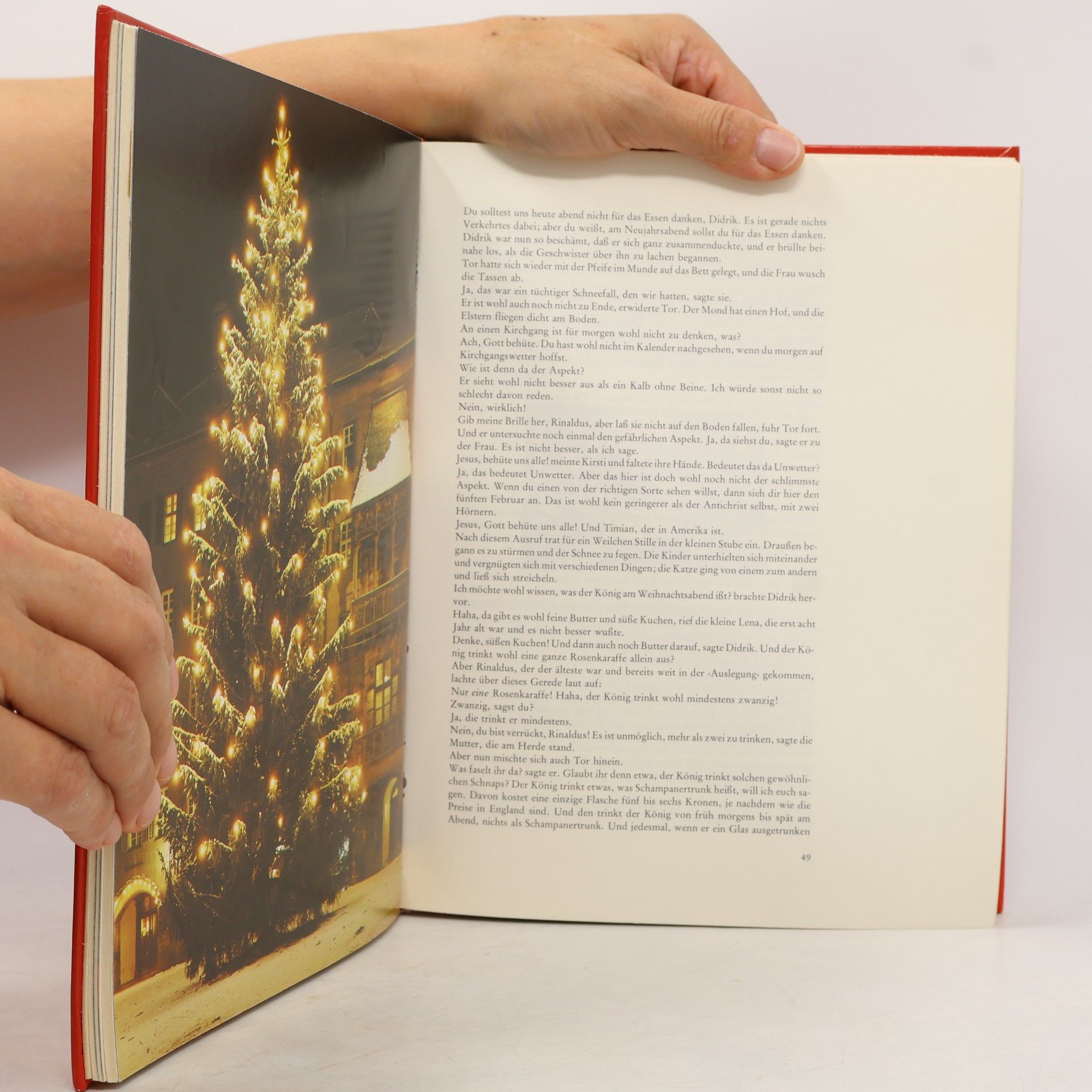 Martin Weltenburger Das große Weihnachtsbuch