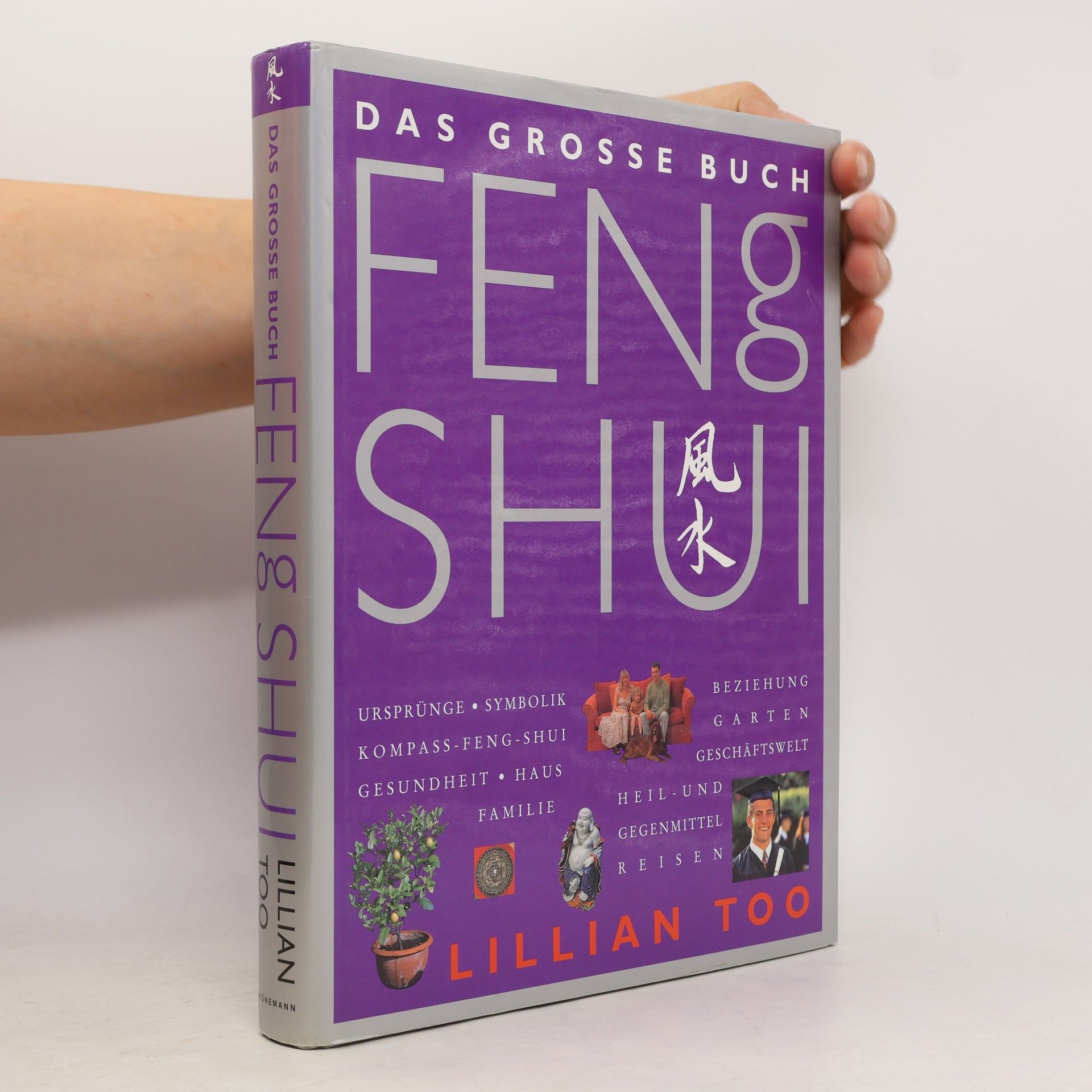 Lillian Too Das grosse Buch Feng Shui