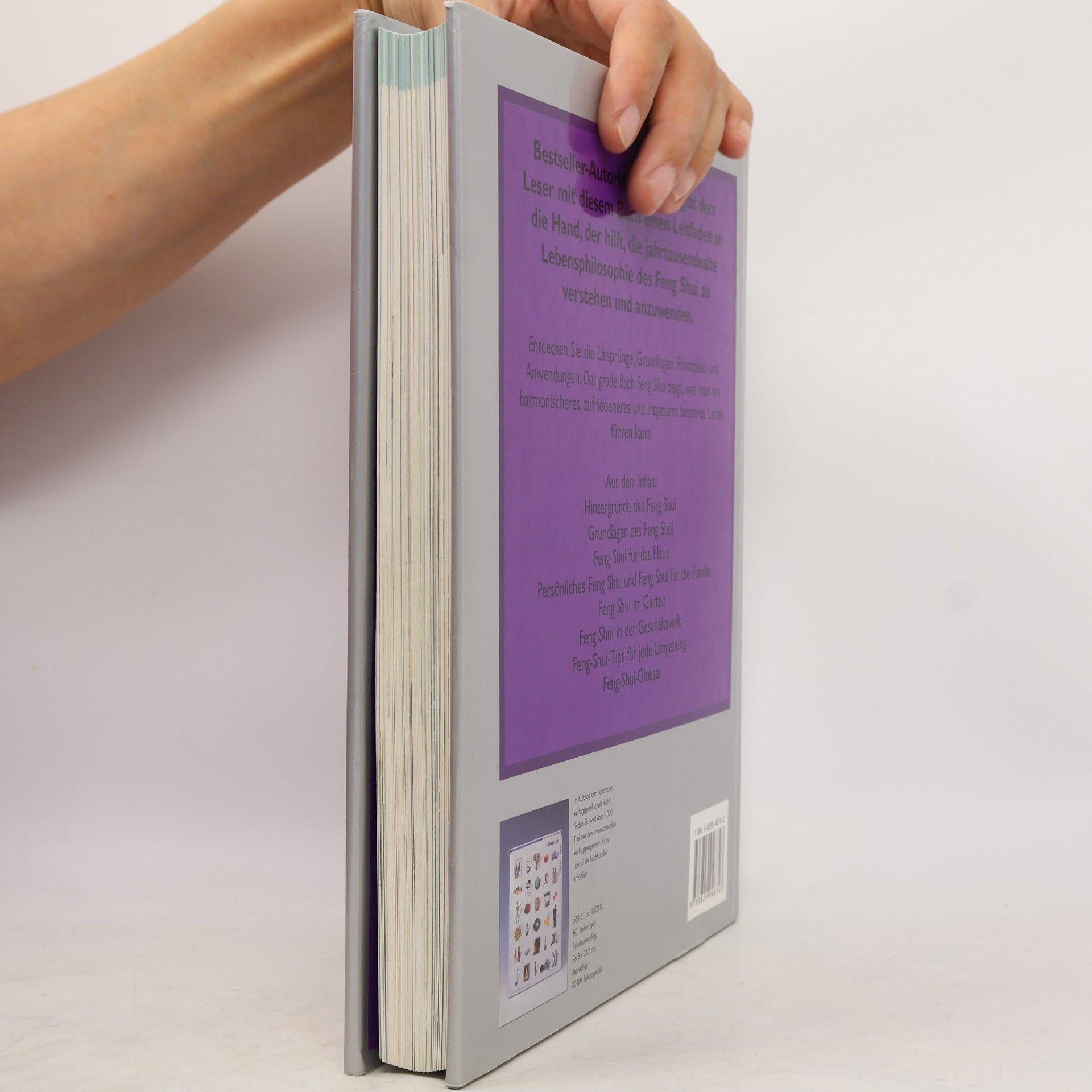Lillian Too Das grosse Buch Feng Shui
