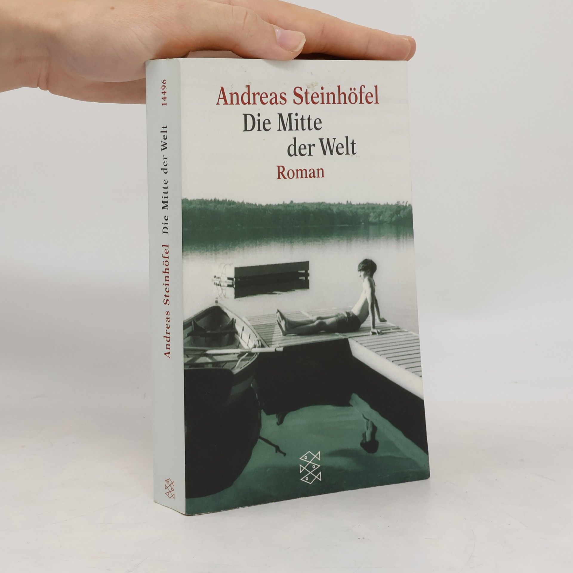 Andreas Steinhöfel Die Mitte der Welt
