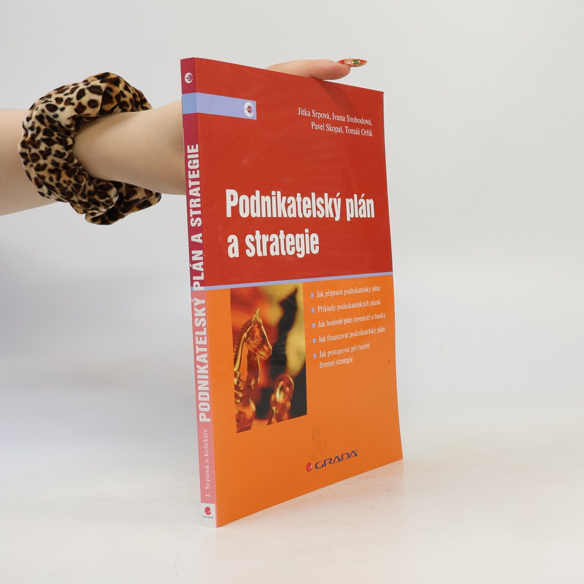Jitka Srpová Podnikatelský plán a strategie