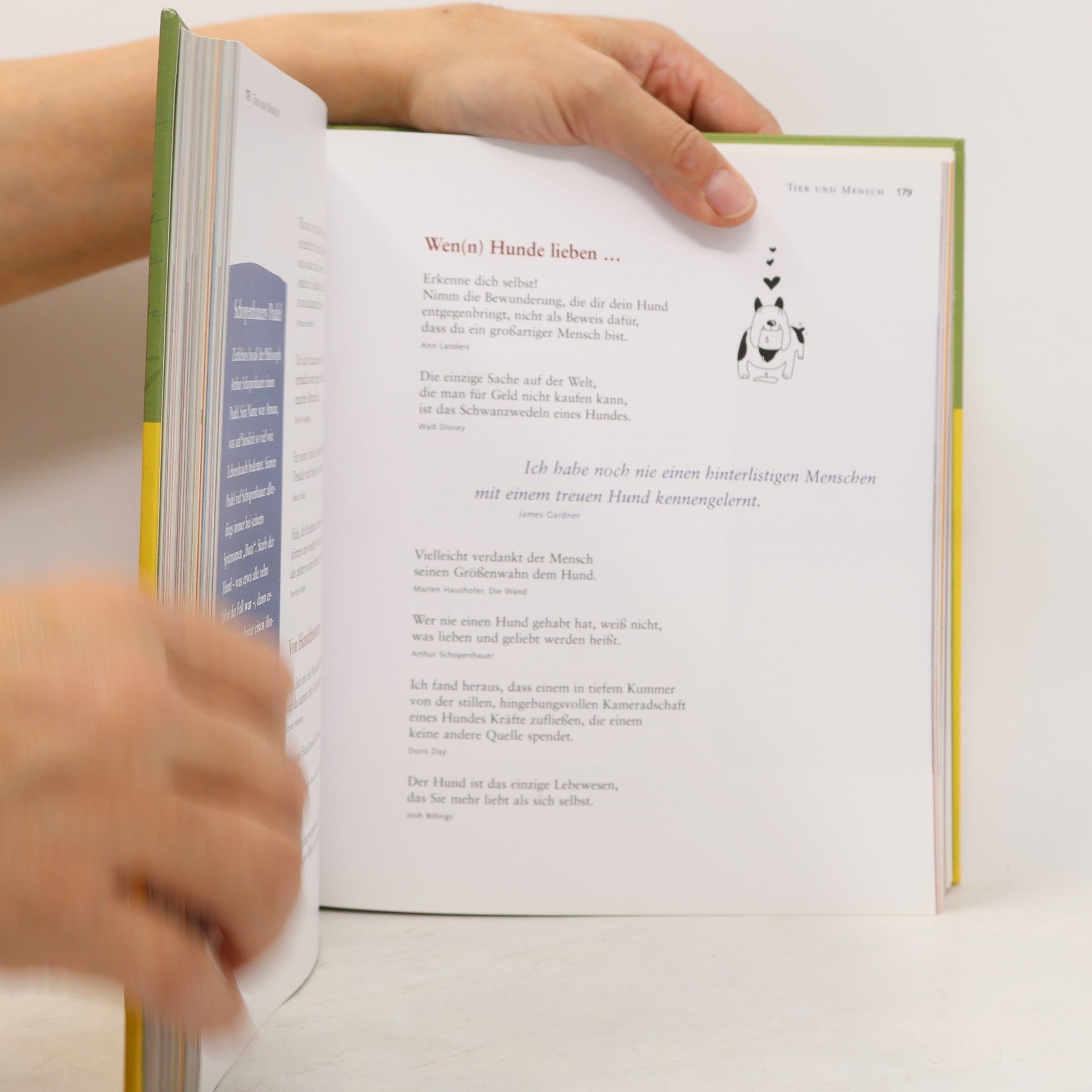 Autorenkollektiv Das große Buch der Lebensweisheiten 2008