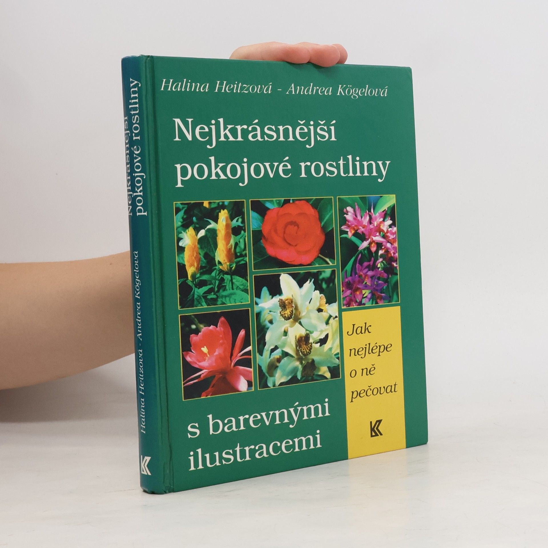 Nejkrásnější pokojové rostliny