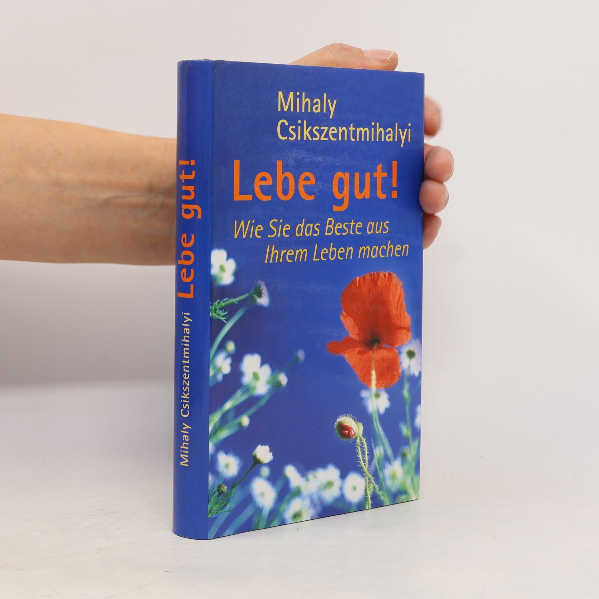 Mihaly Csikszentmihalyi Lebe gut!